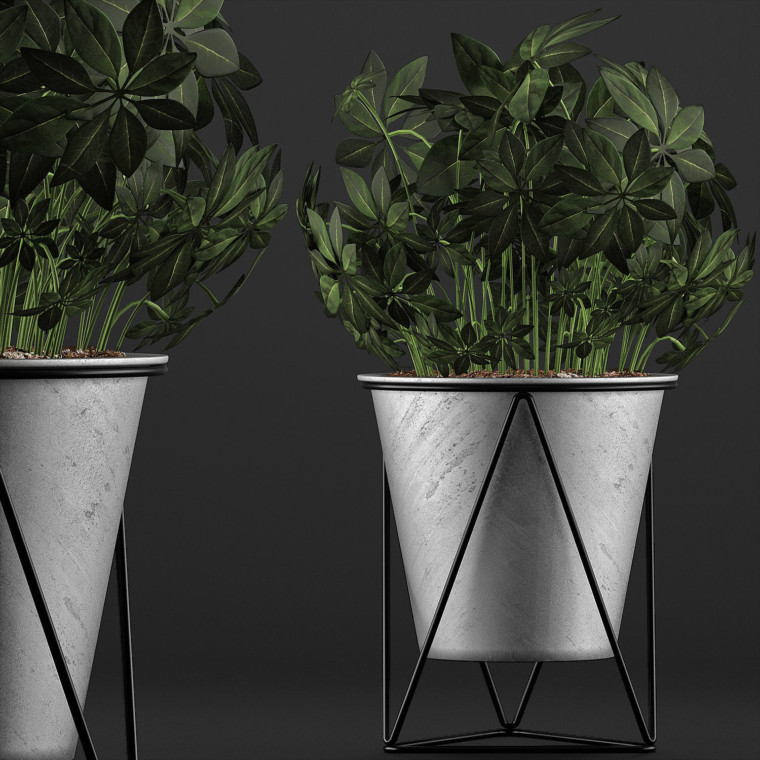 Plants Collection 92 3D model_2
