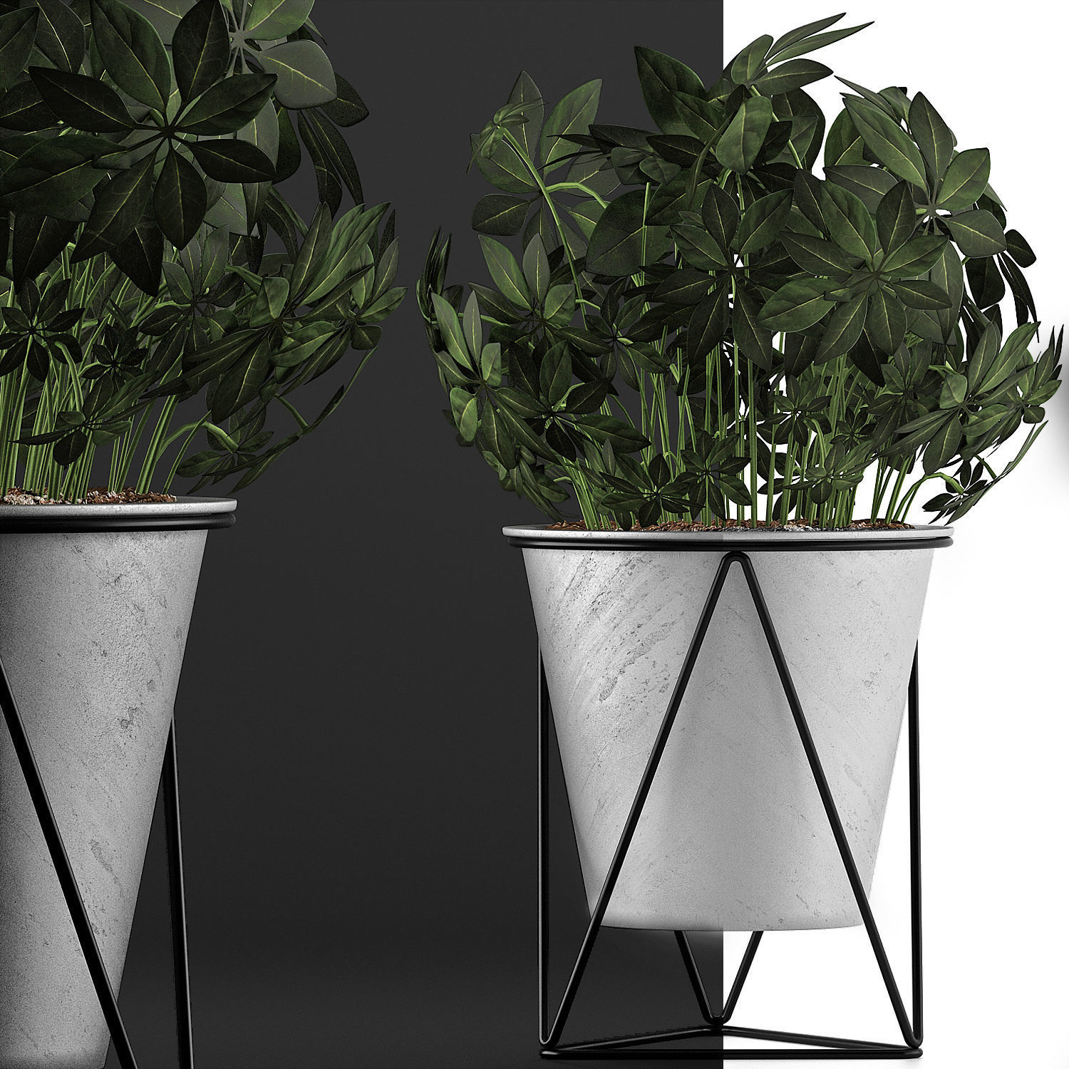 Plants Collection 92 3D model_5