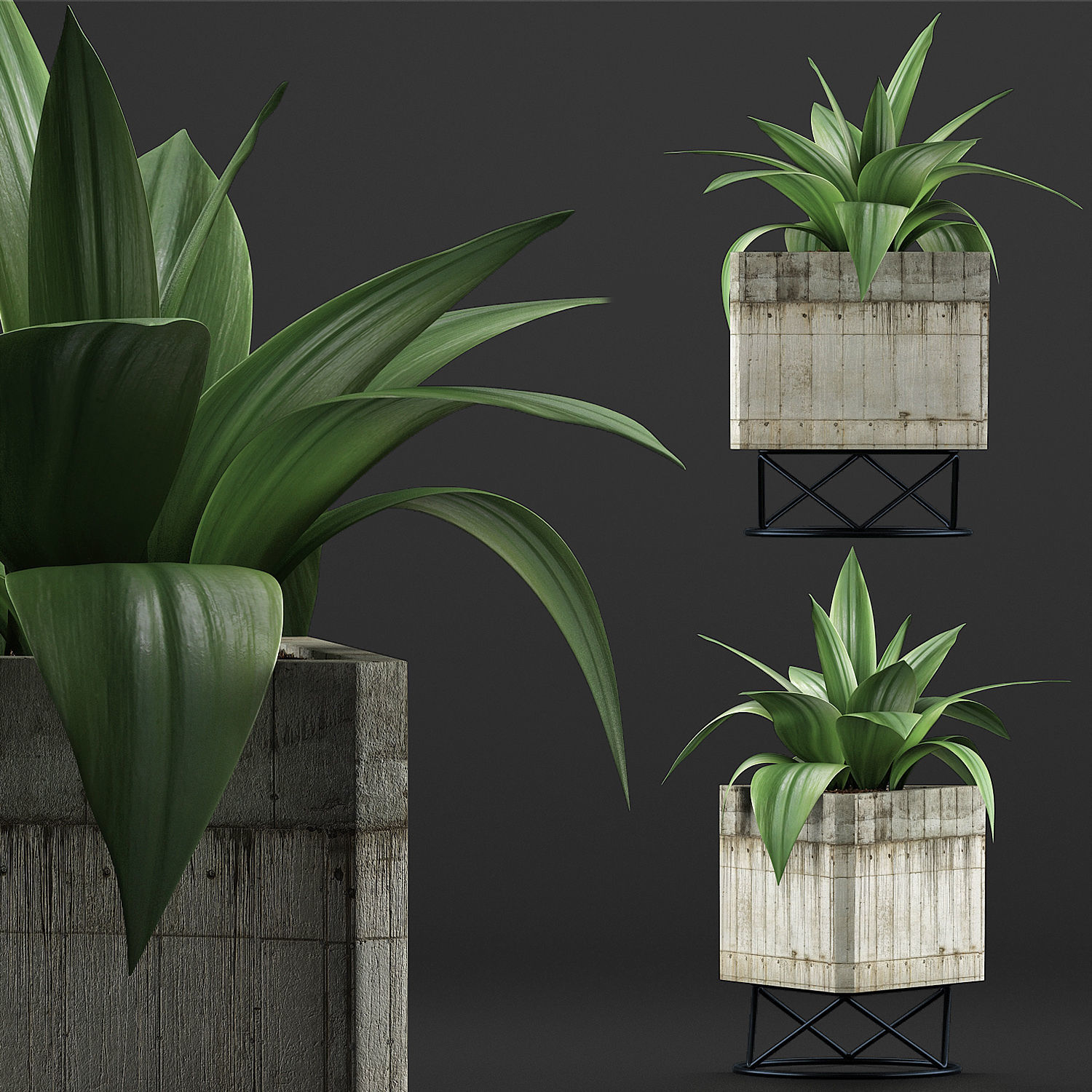 Plants Collection 93 3D model_1
