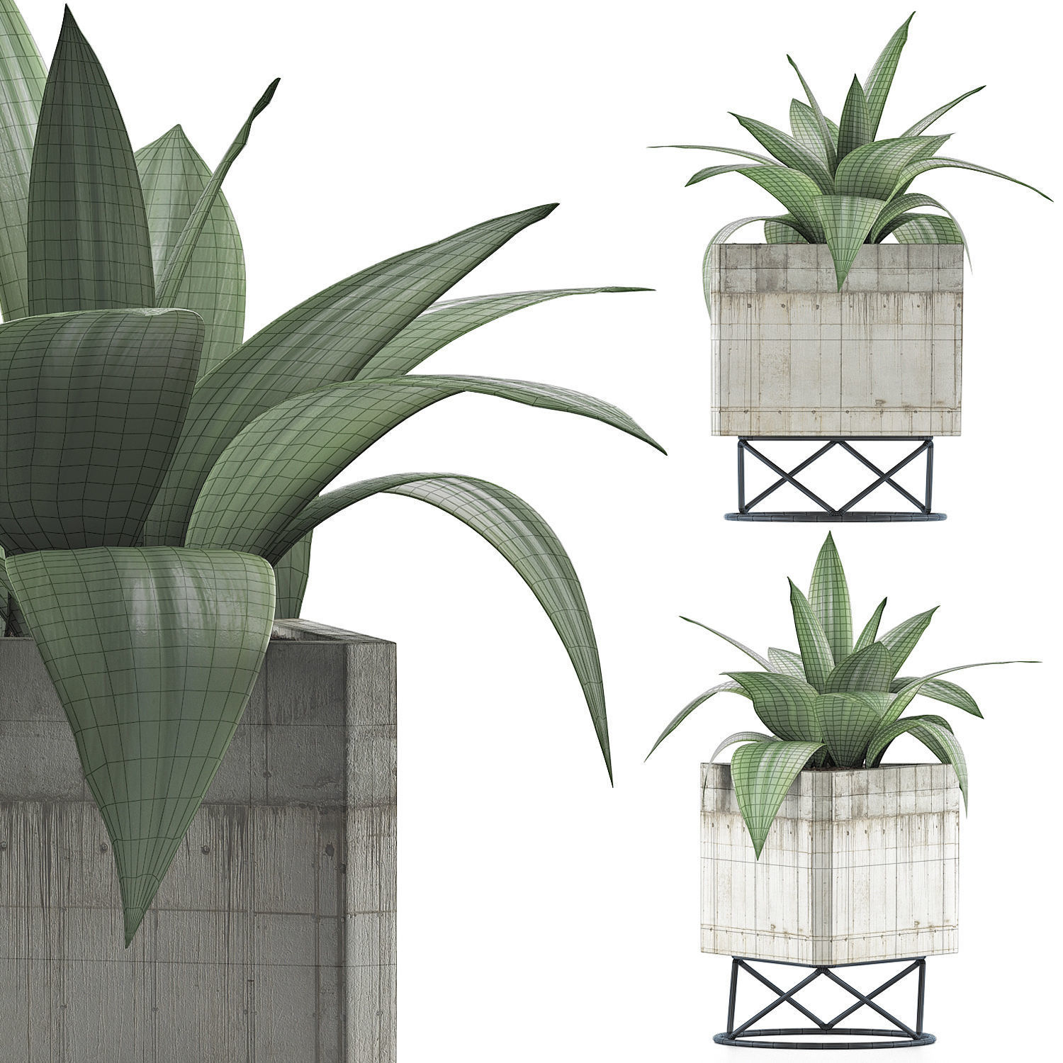 Plants Collection 93 3D model_5