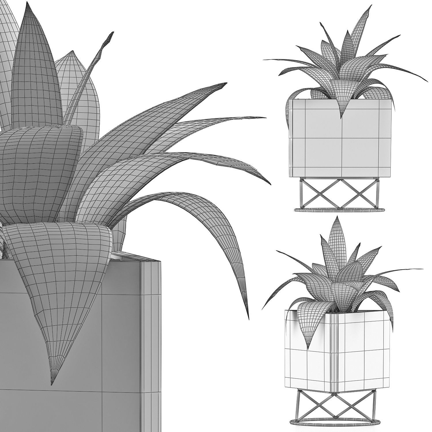Plants Collection 93 3D model_3