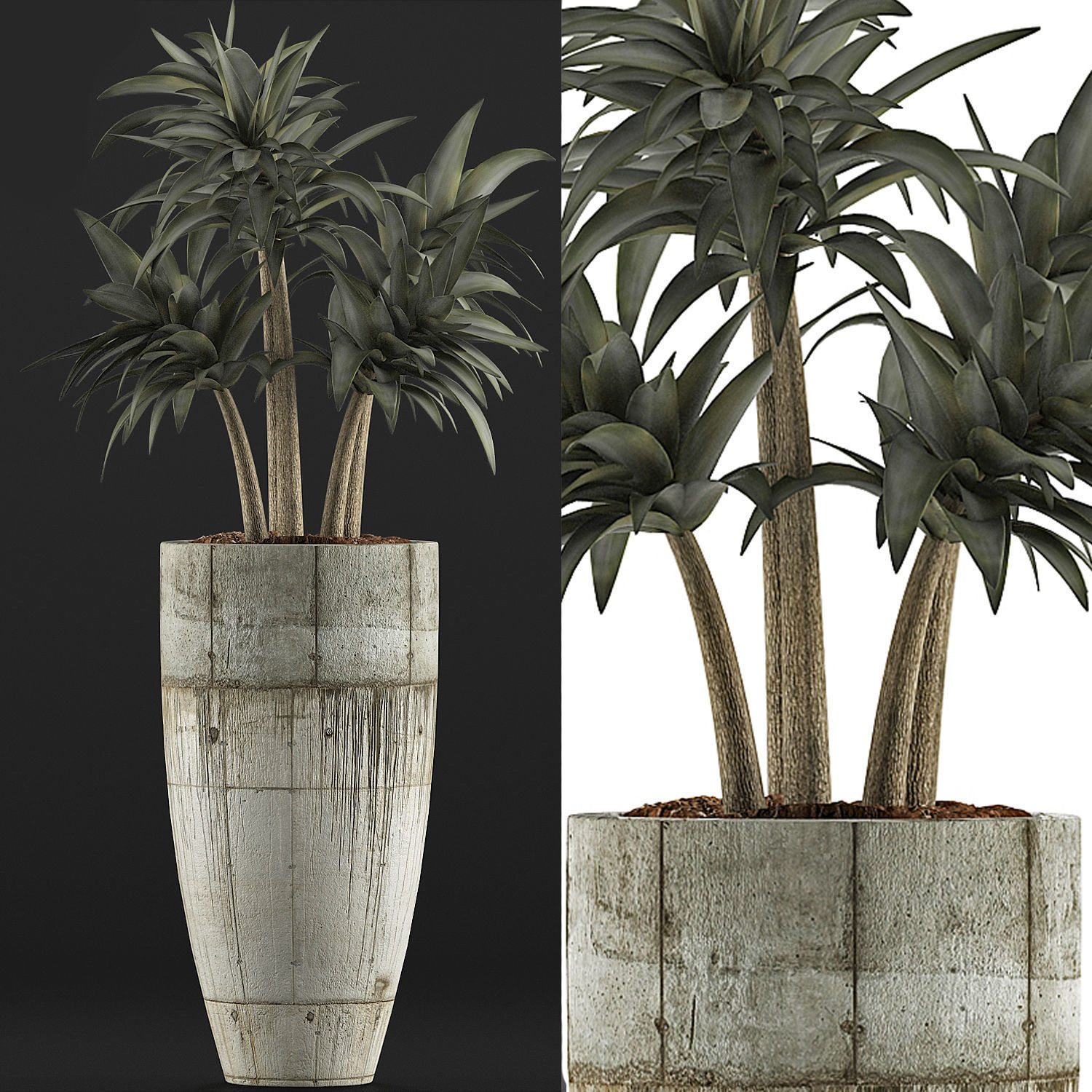 Plants Collection 94 3D model_3