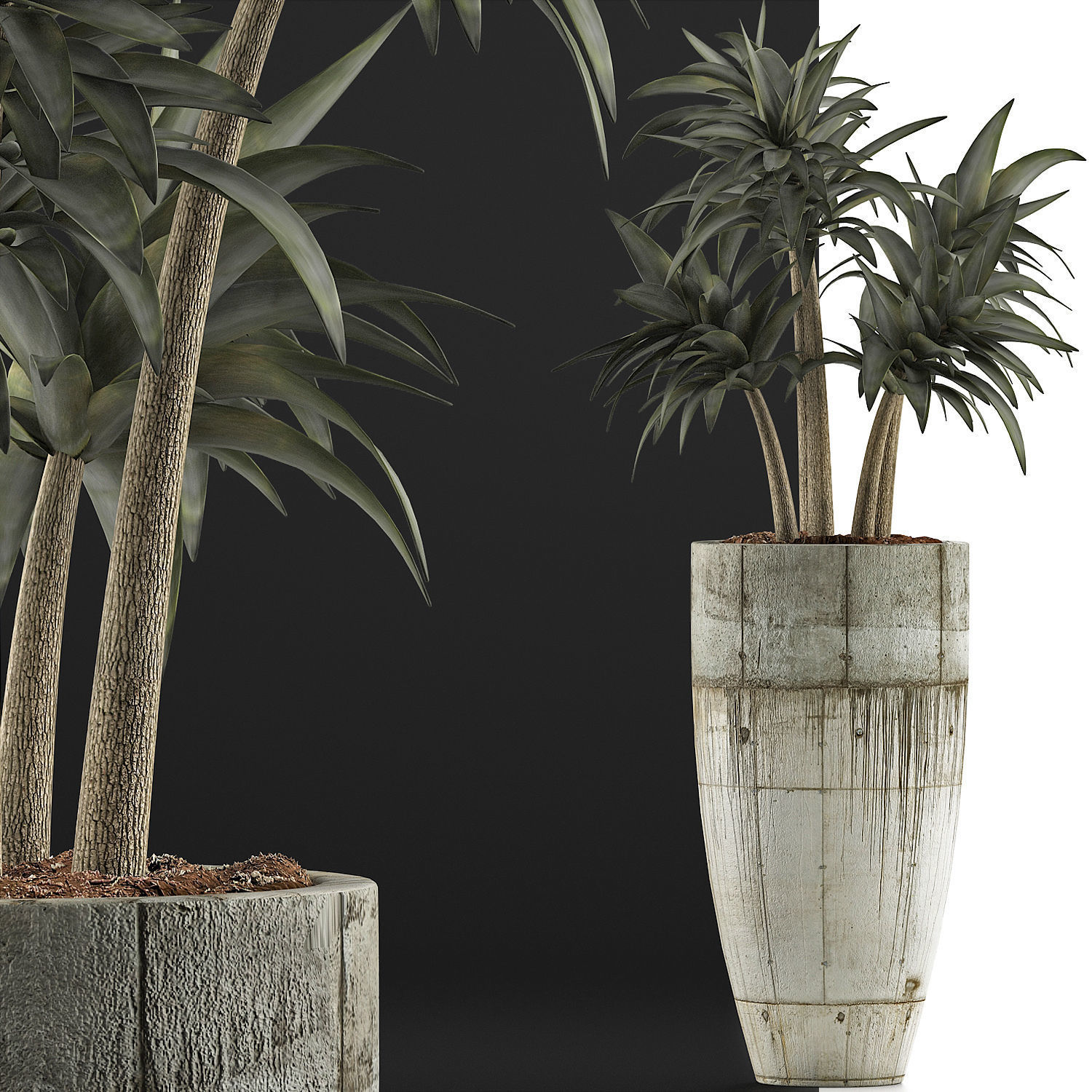 Plants Collection 94 3D model_5