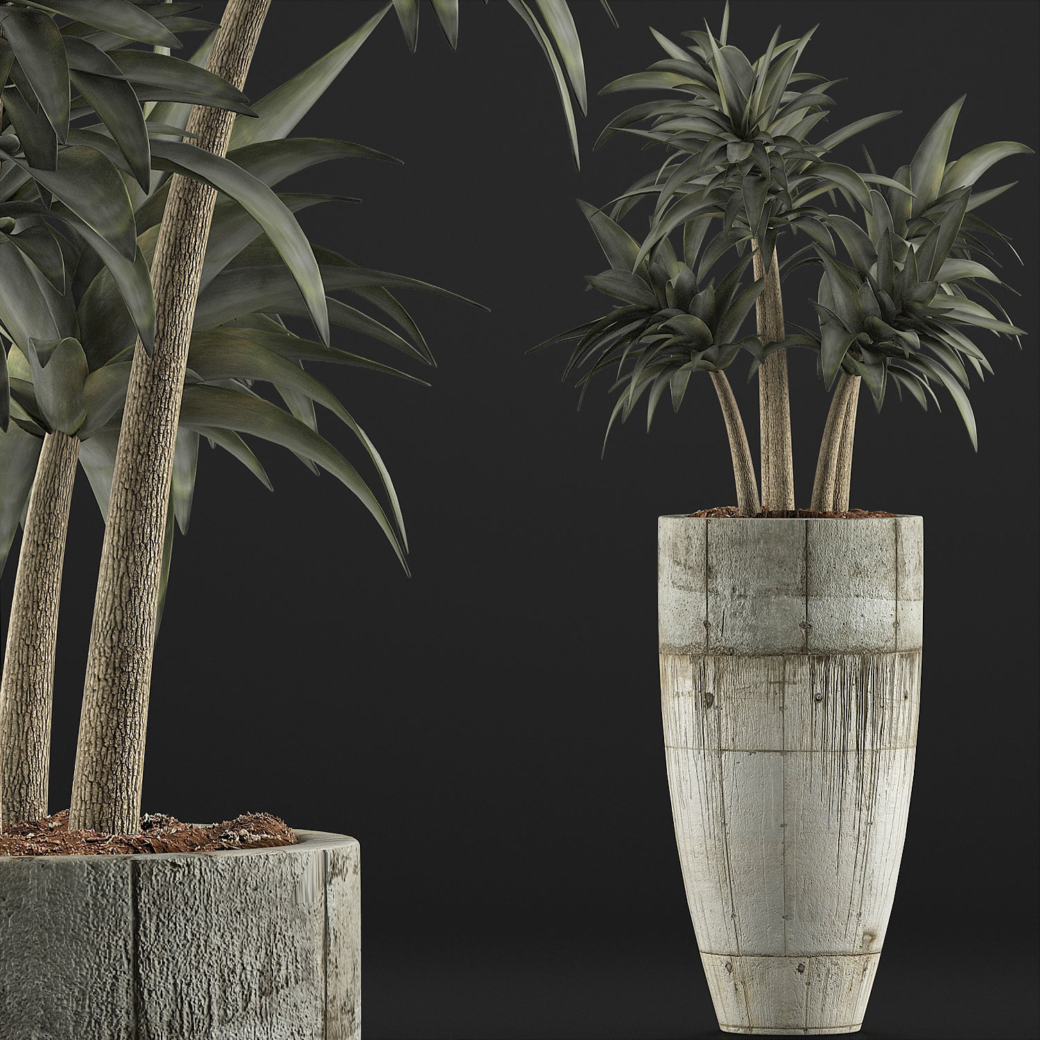 Plants Collection 94 3D model_2