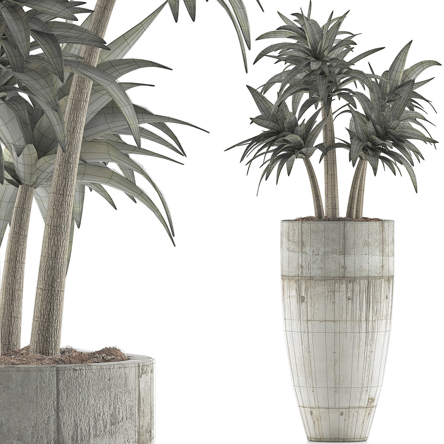 Plants Collection 94 3D model_6