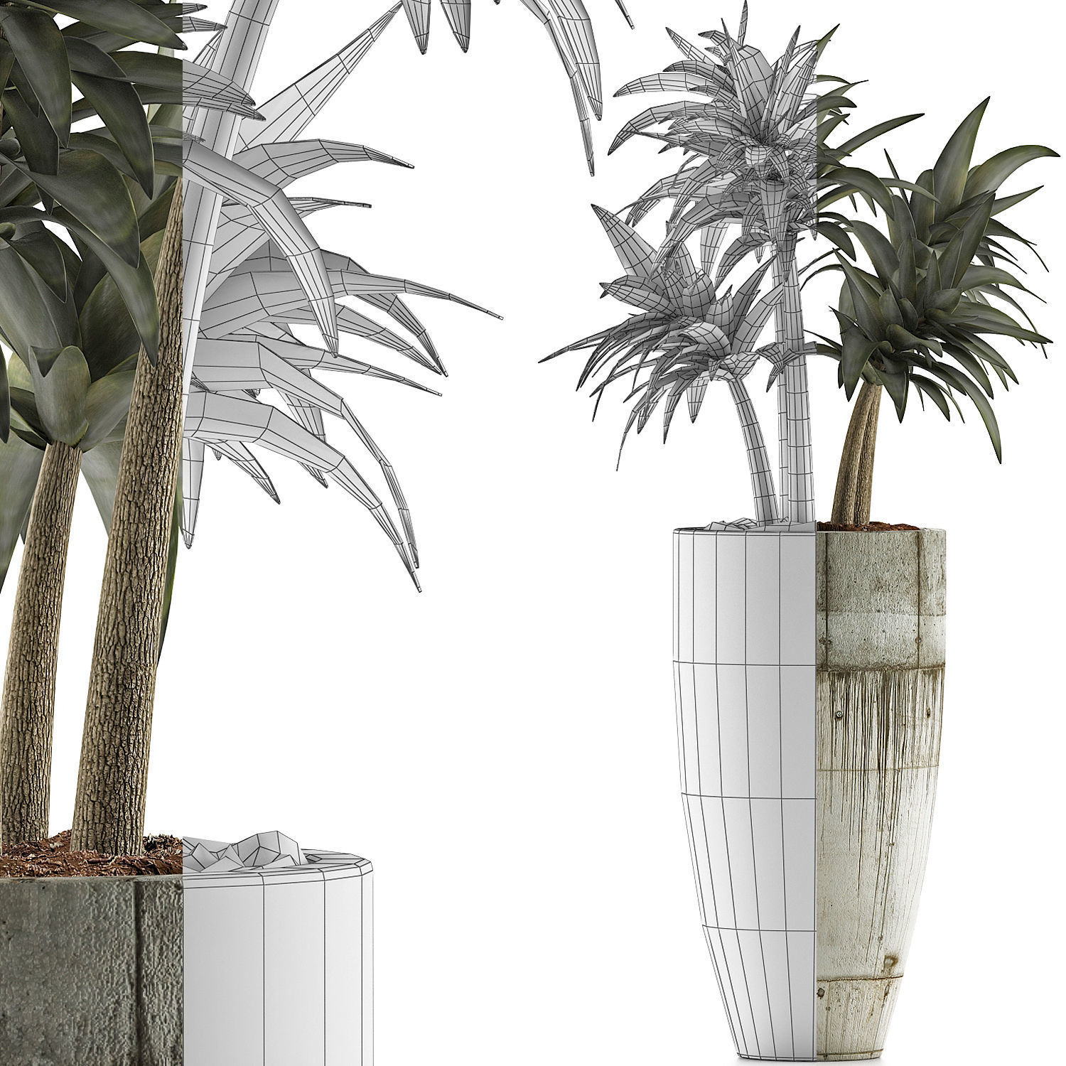 Plants Collection 94 3D model_7