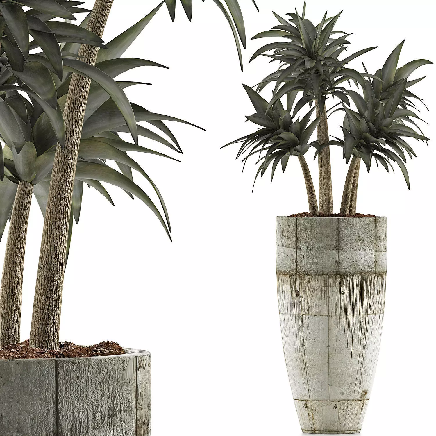 Plants Collection 94 3D model_0