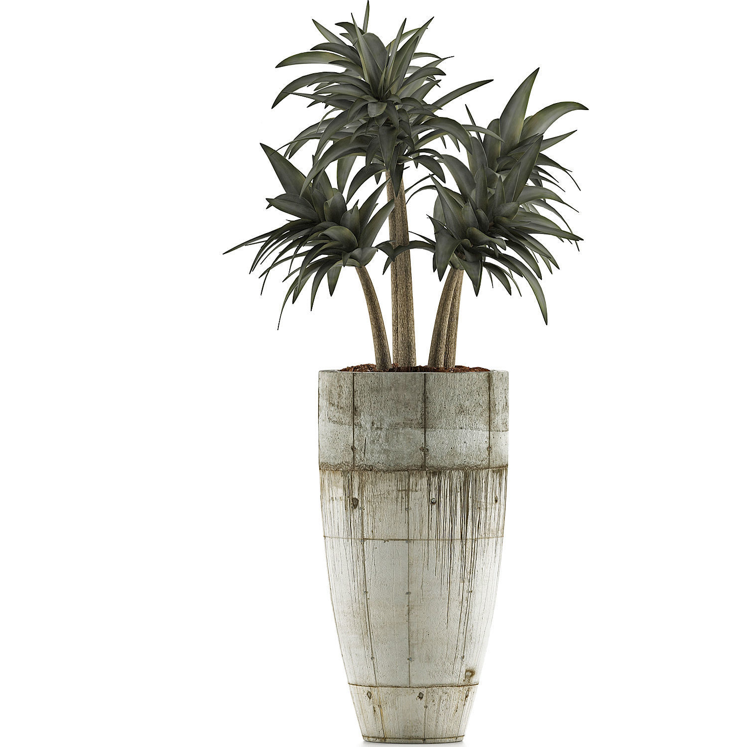 Plants Collection 94 3D model_1