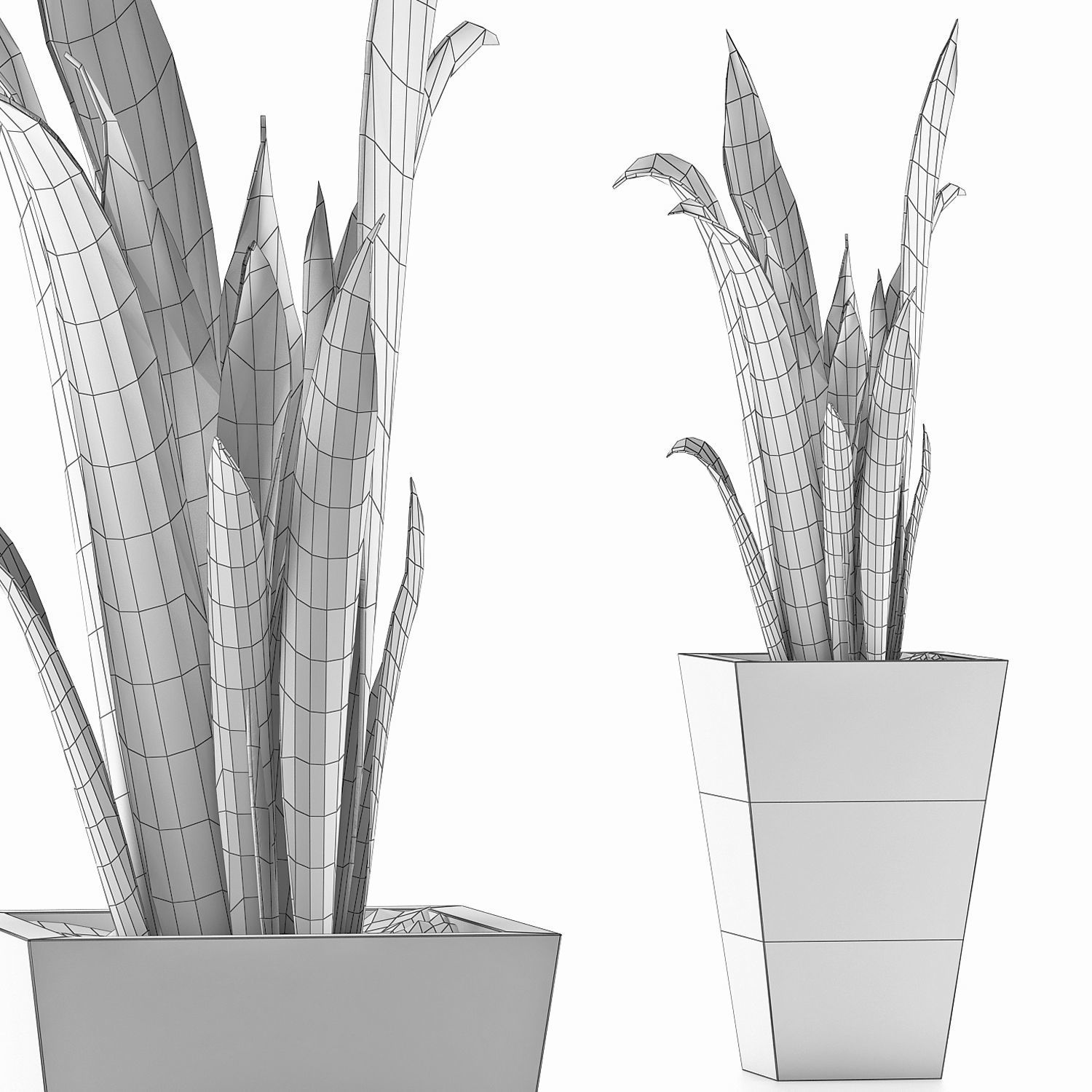 Plants Collection 95 3D model_4