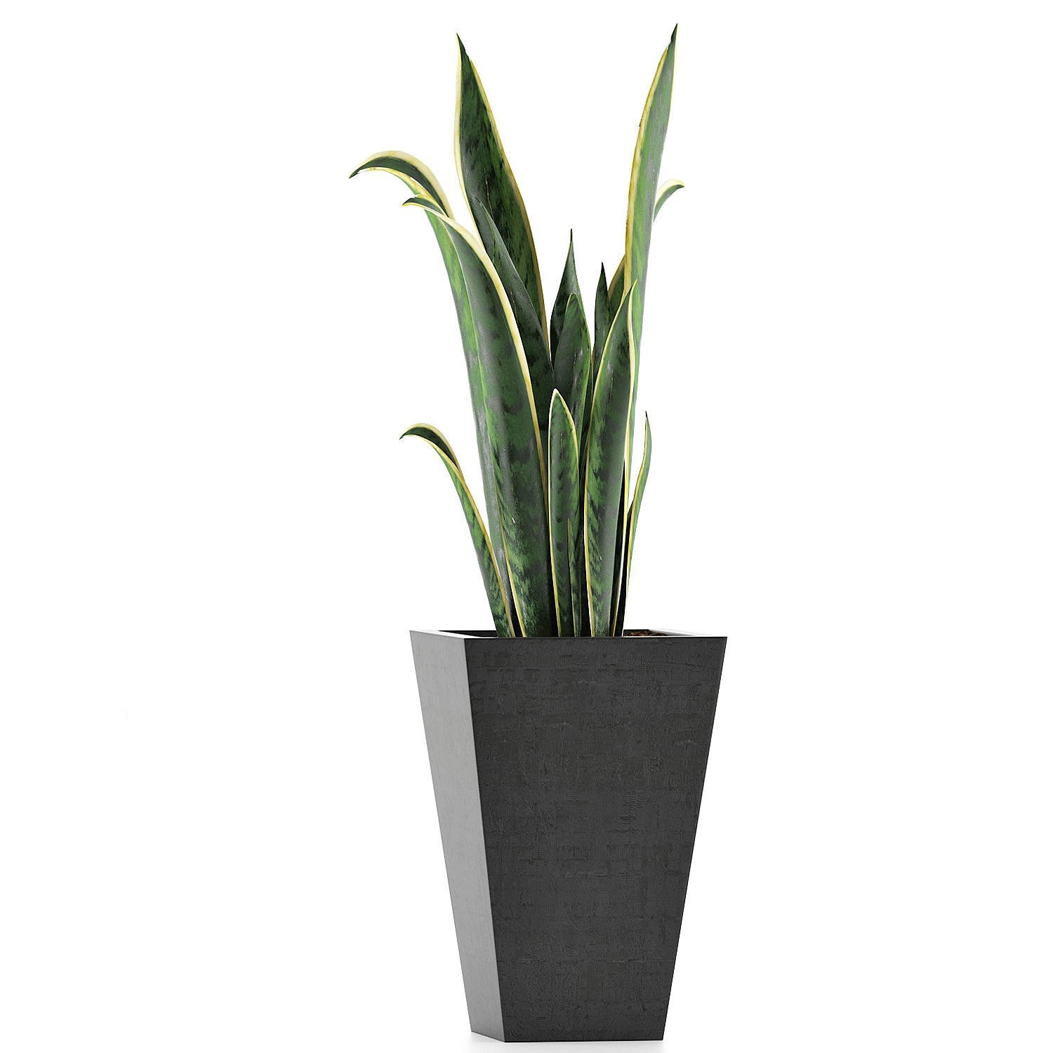 Plants Collection 95 3D model_1