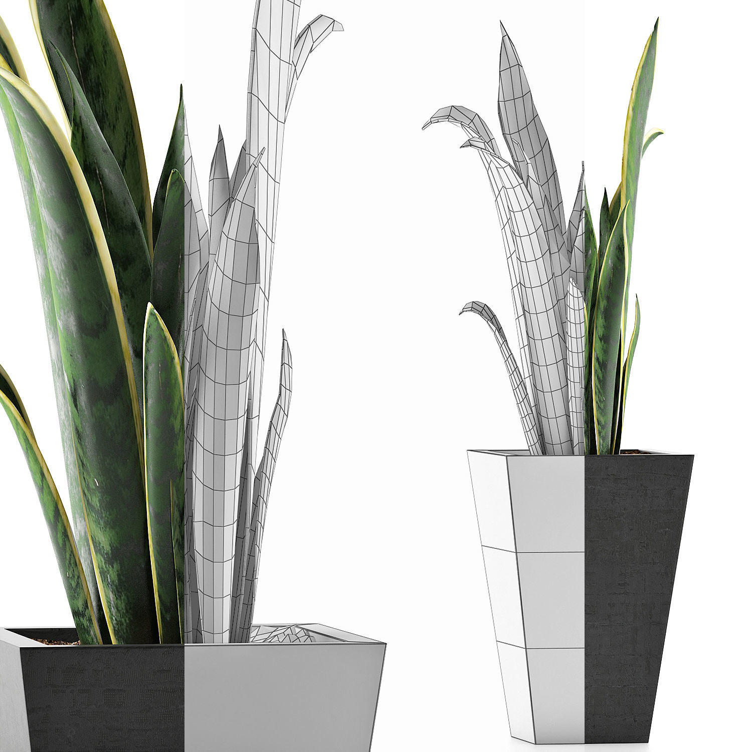 Plants Collection 95 3D model_7