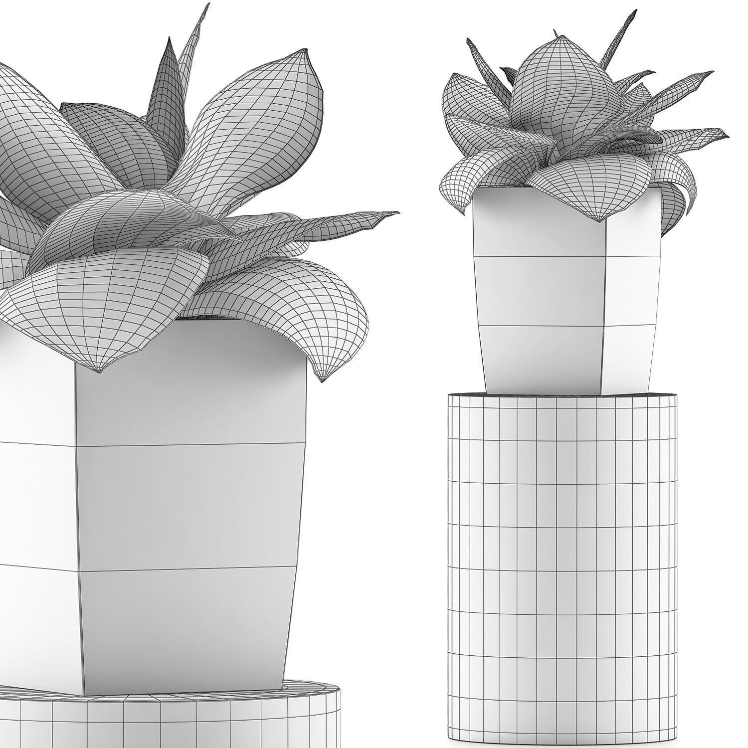 Plants Collection 96 3D model_4