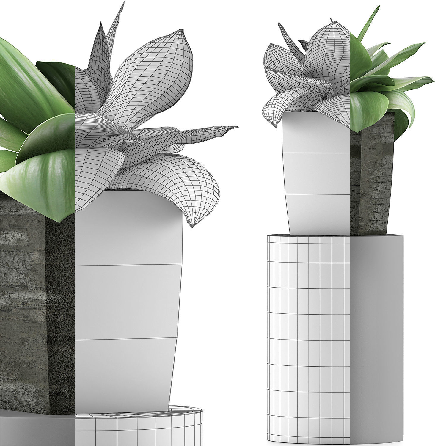 Plants Collection 96 3D model_7