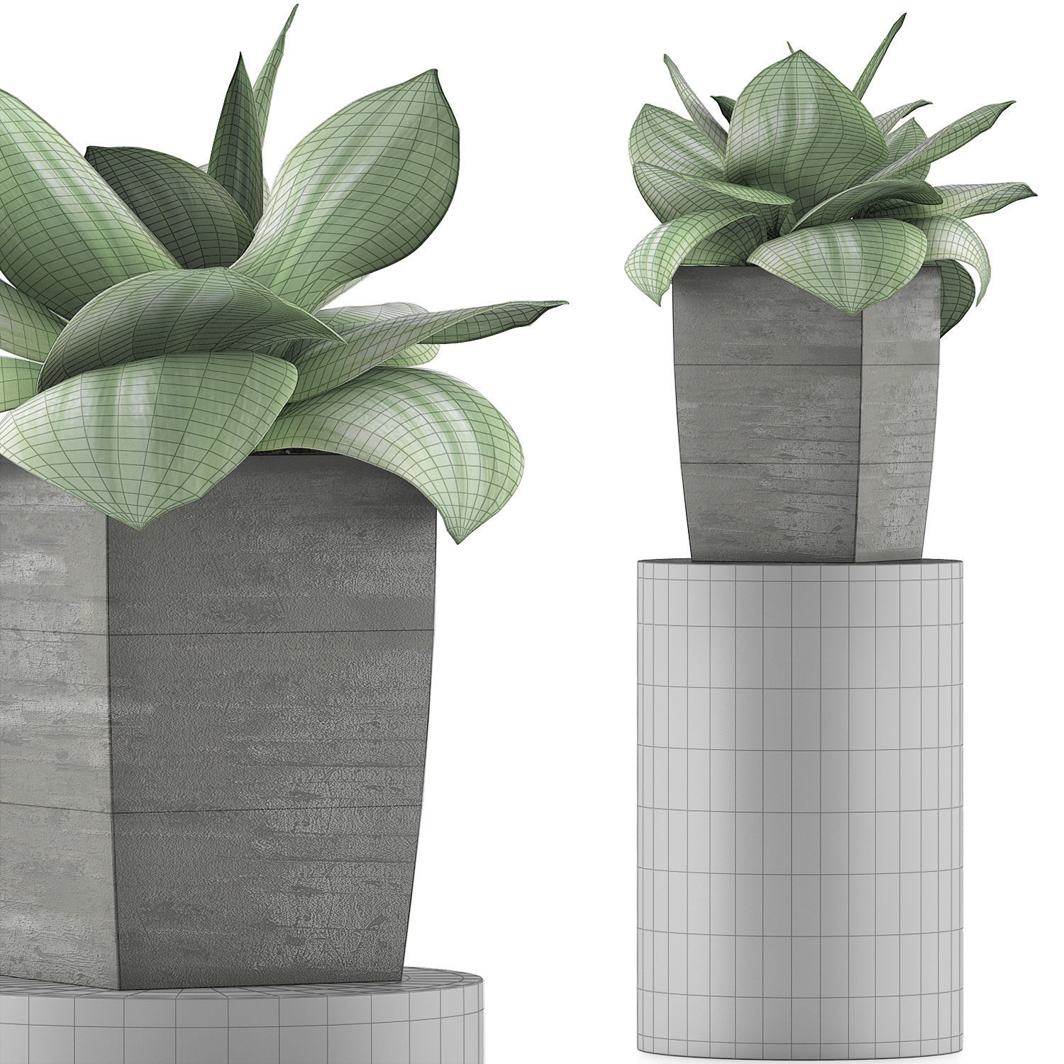 Plants Collection 96 3D model_6