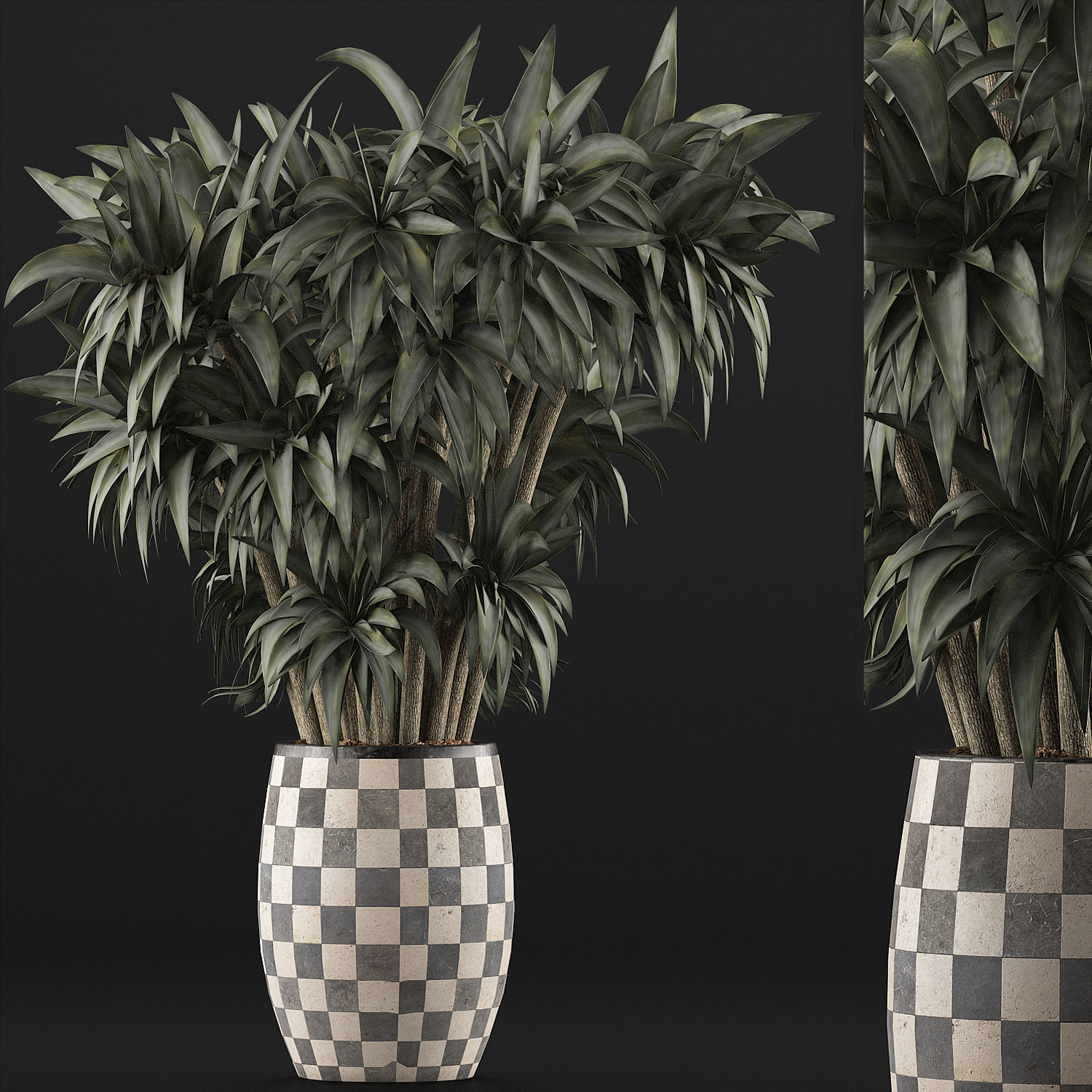 Plants Collection 97 3D model_2