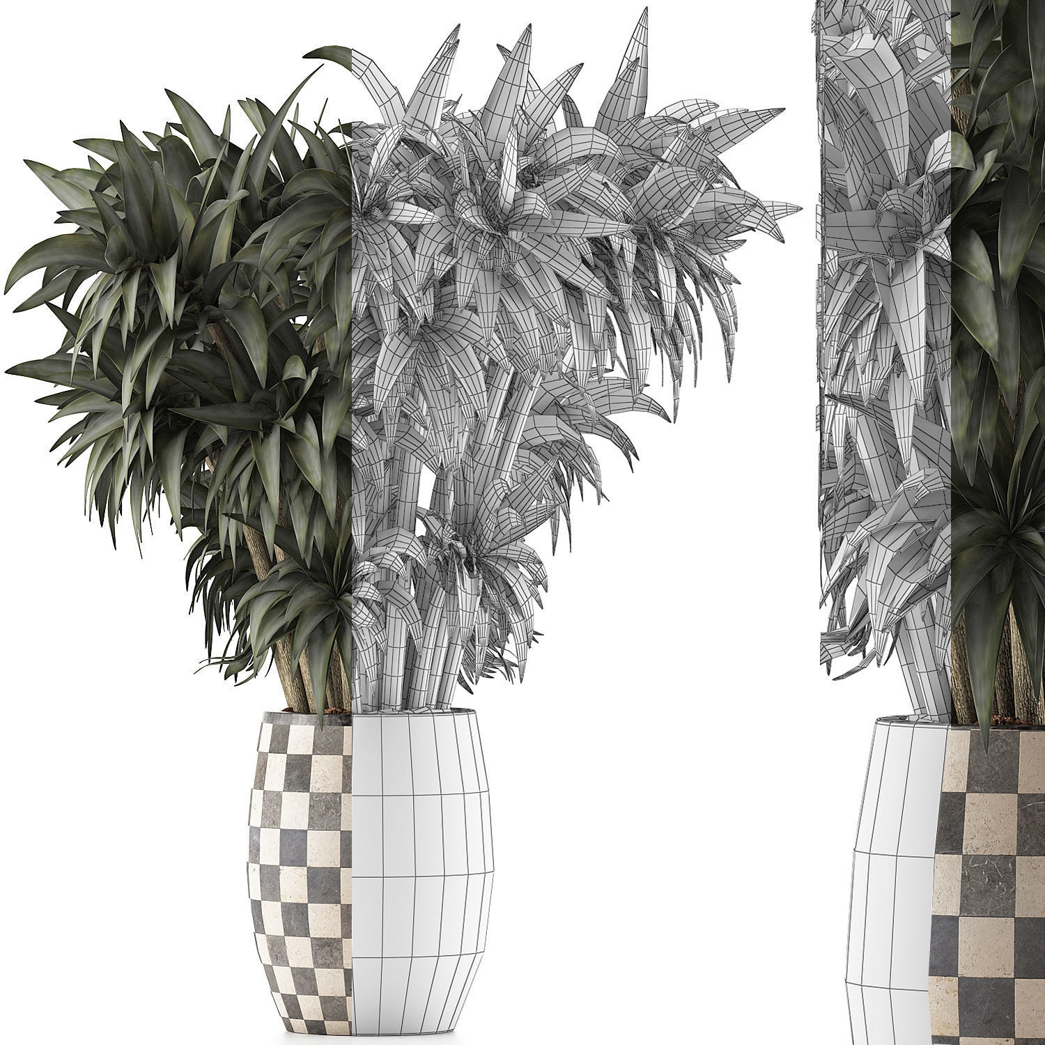 Plants Collection 97 3D model_7