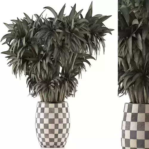 Plants Collection 97 3D model