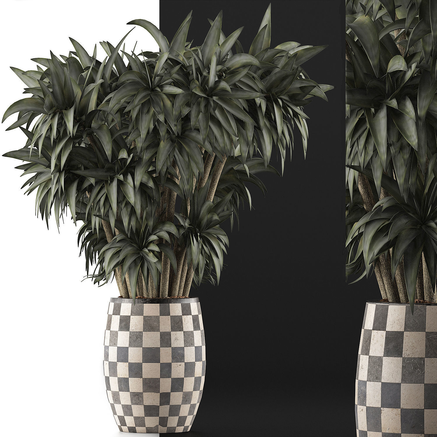 Plants Collection 97 3D model_5