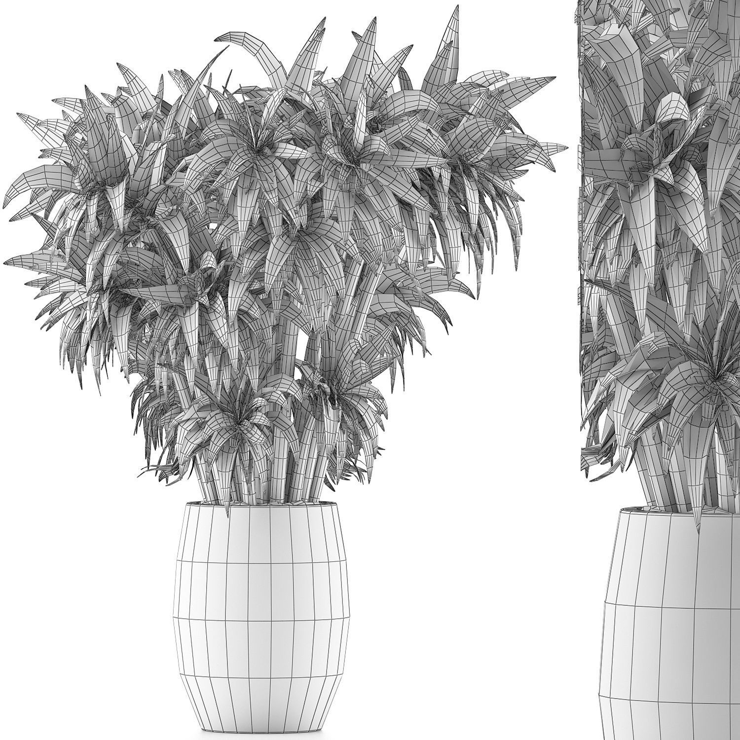Plants Collection 97 3D model_4