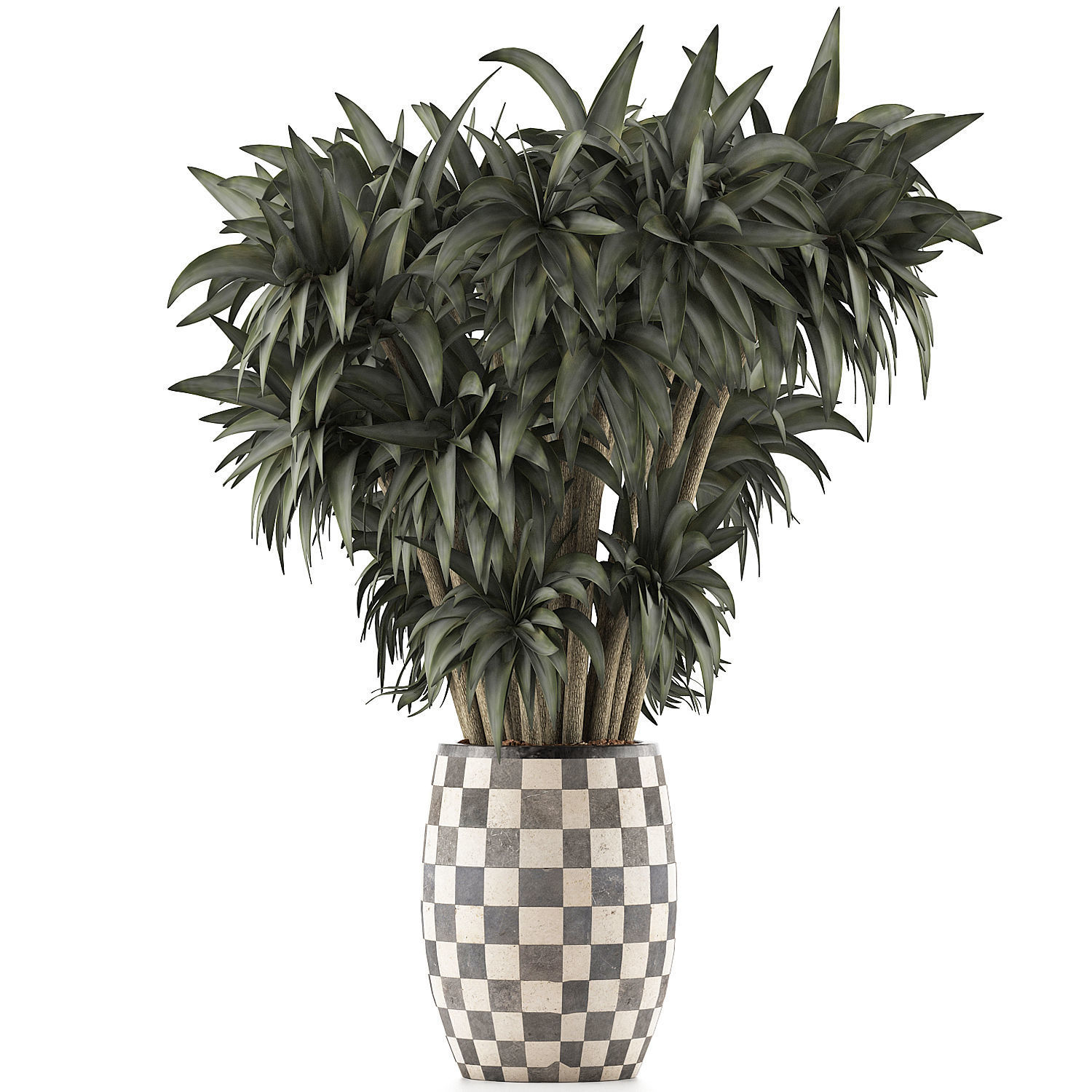Plants Collection 97 3D model_1