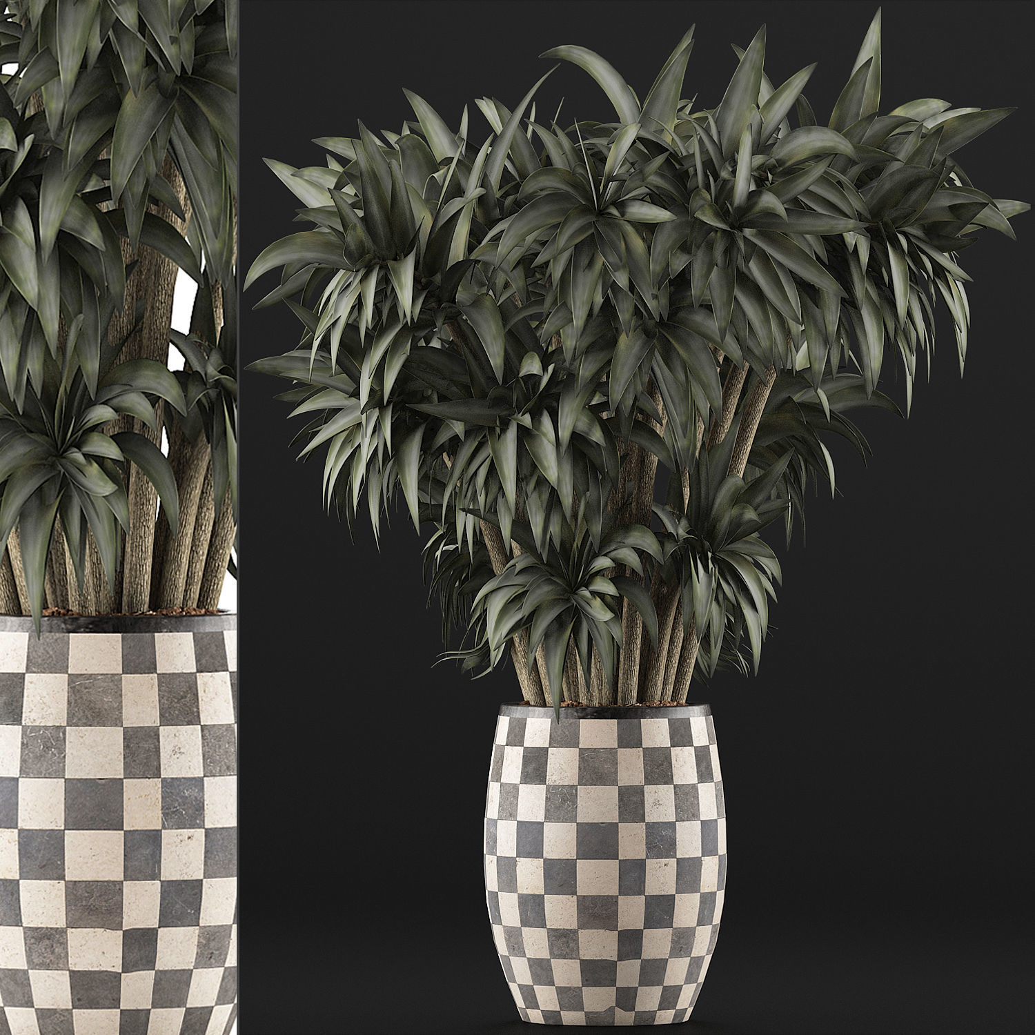 Plants Collection 97 3D model_3