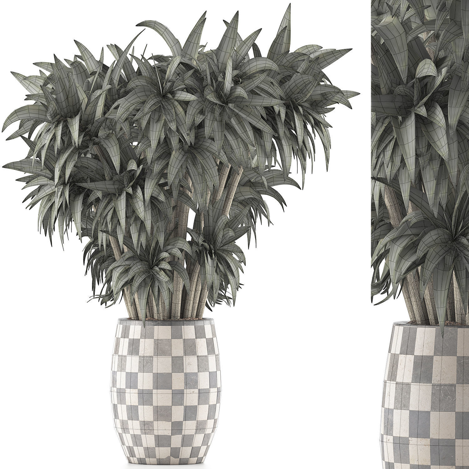 Plants Collection 97 3D model_6