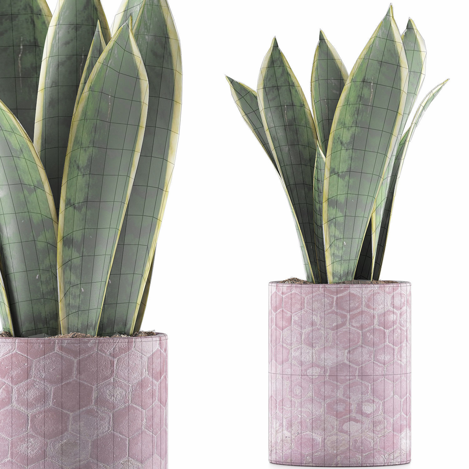 Plants Collection 98 3D model_6