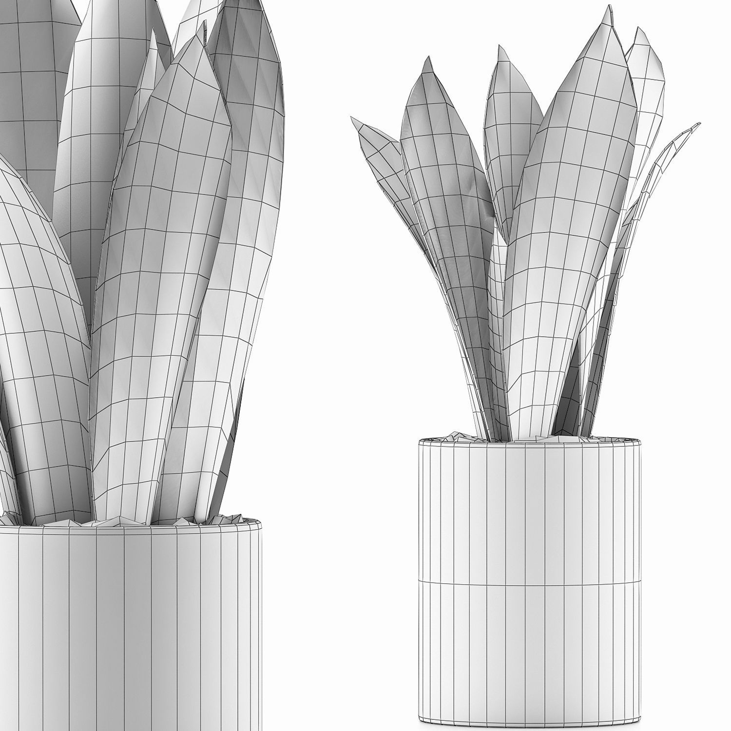 Plants Collection 98 3D model_4