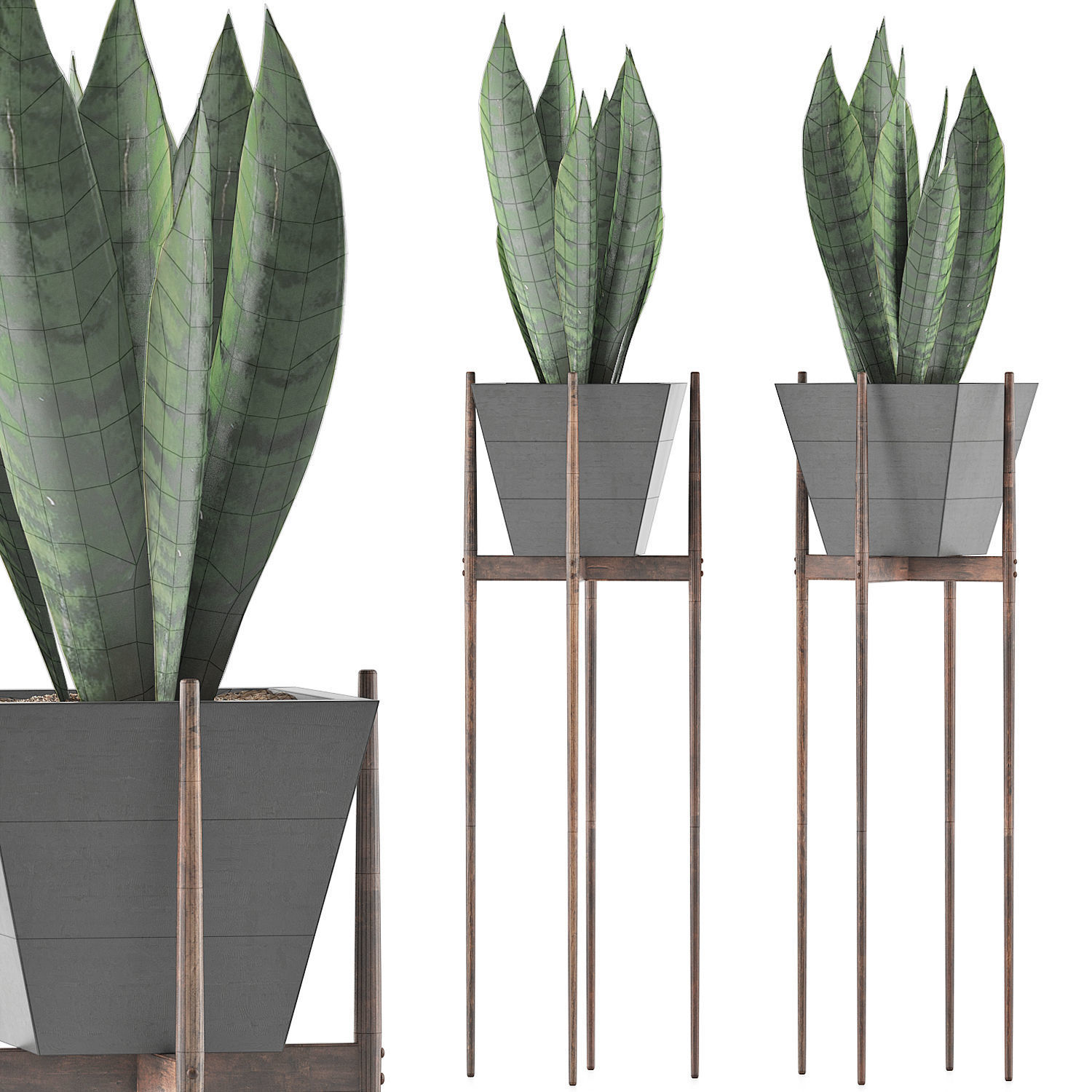 Plants Collection 99 3D model_6