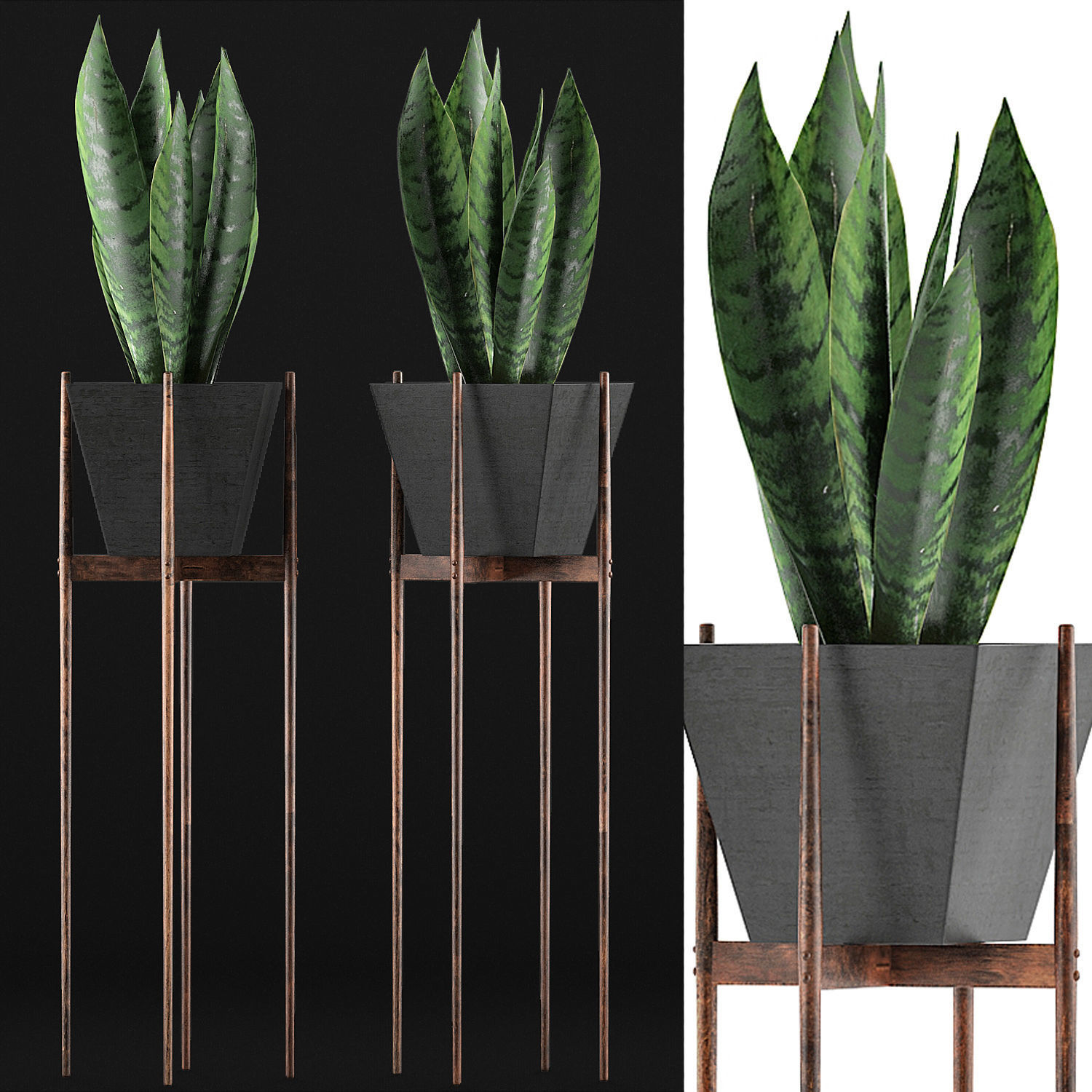 Plants Collection 99 3D model_3