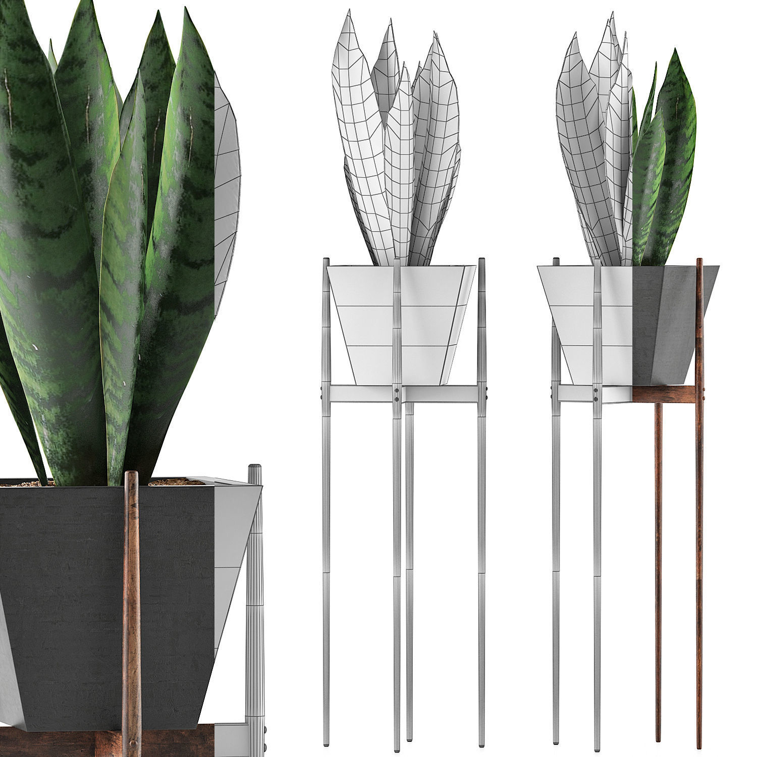 Plants Collection 99 3D model_7