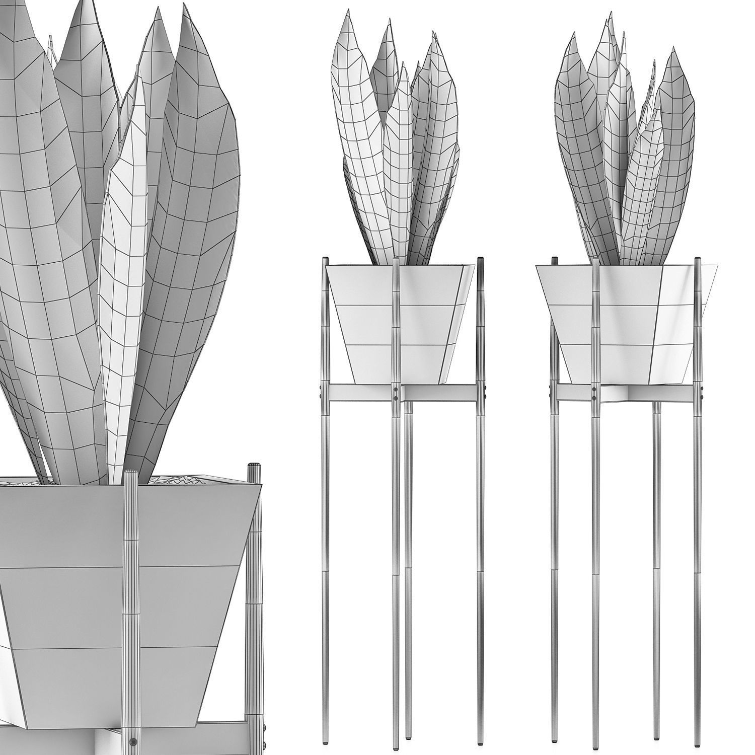 Plants Collection 99 3D model_4