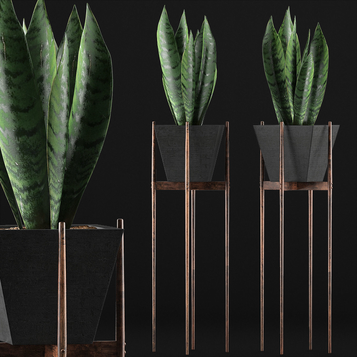 Plants Collection 99 3D model_2
