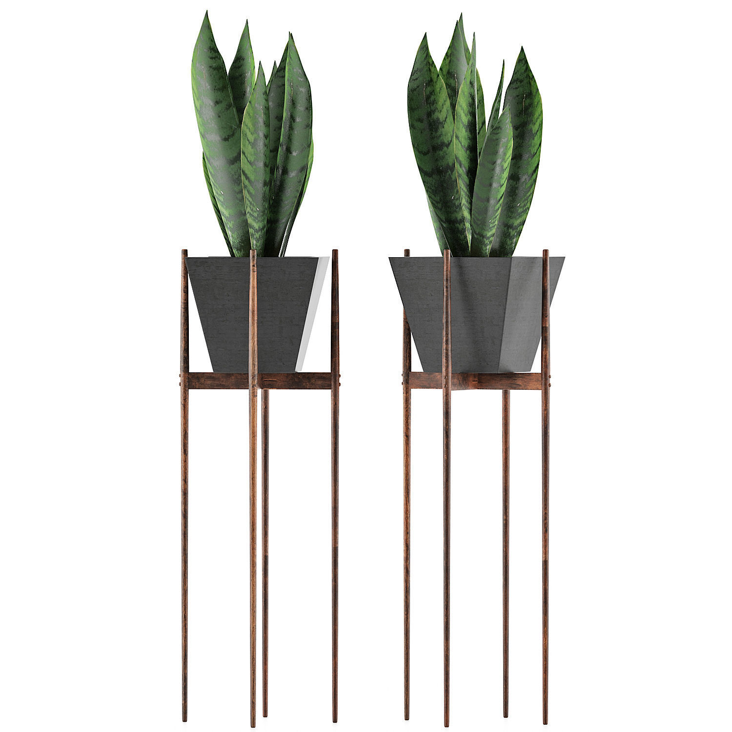 Plants Collection 99 3D model_1