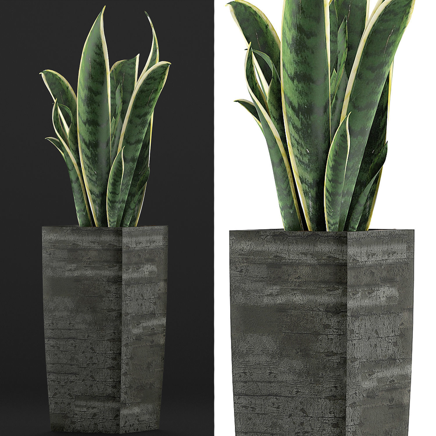 Plants Collection 100 3D model_3