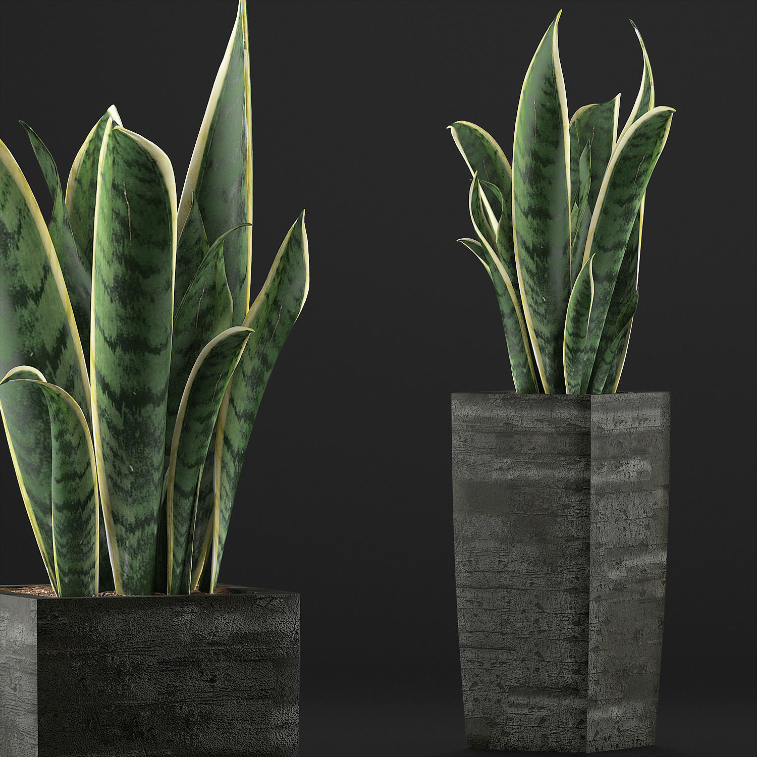 Plants Collection 100 3D model_2