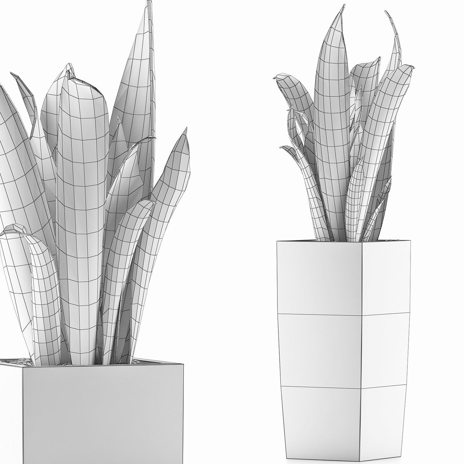 Plants Collection 100 3D model_4