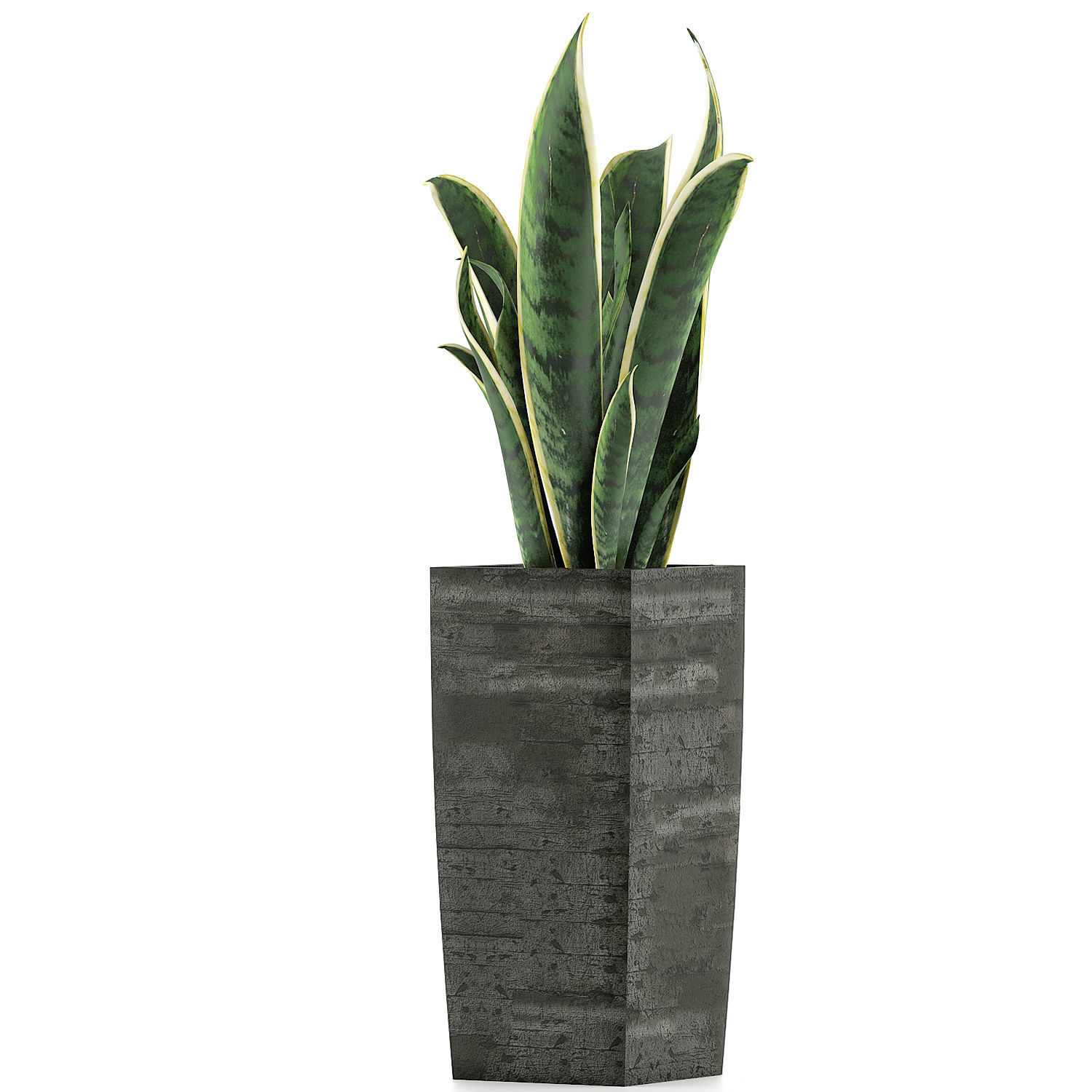 Plants Collection 100 3D model_1