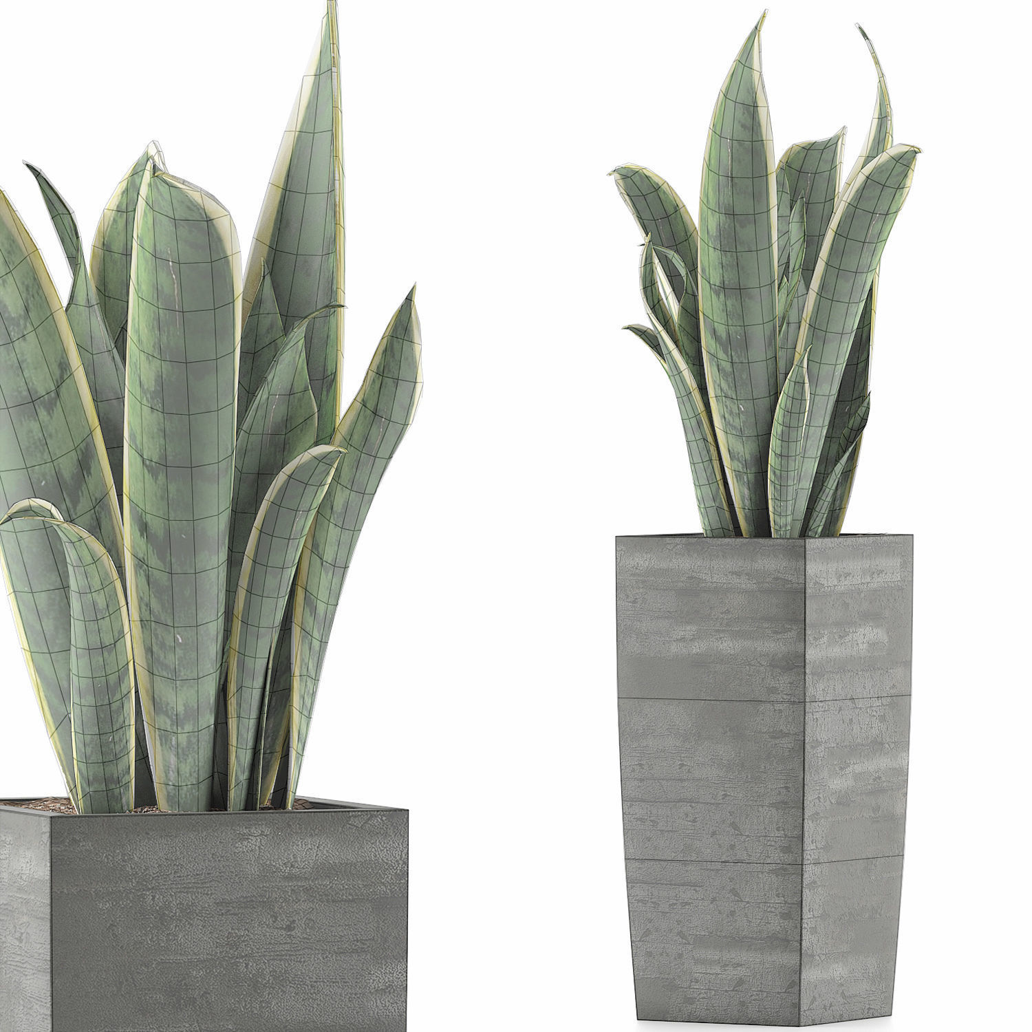 Plants Collection 100 3D model_6