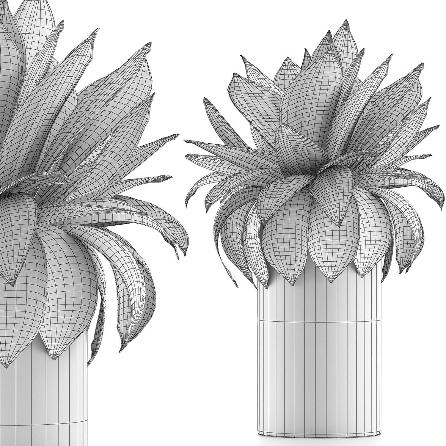 Plants Collection 101 3D model_4
