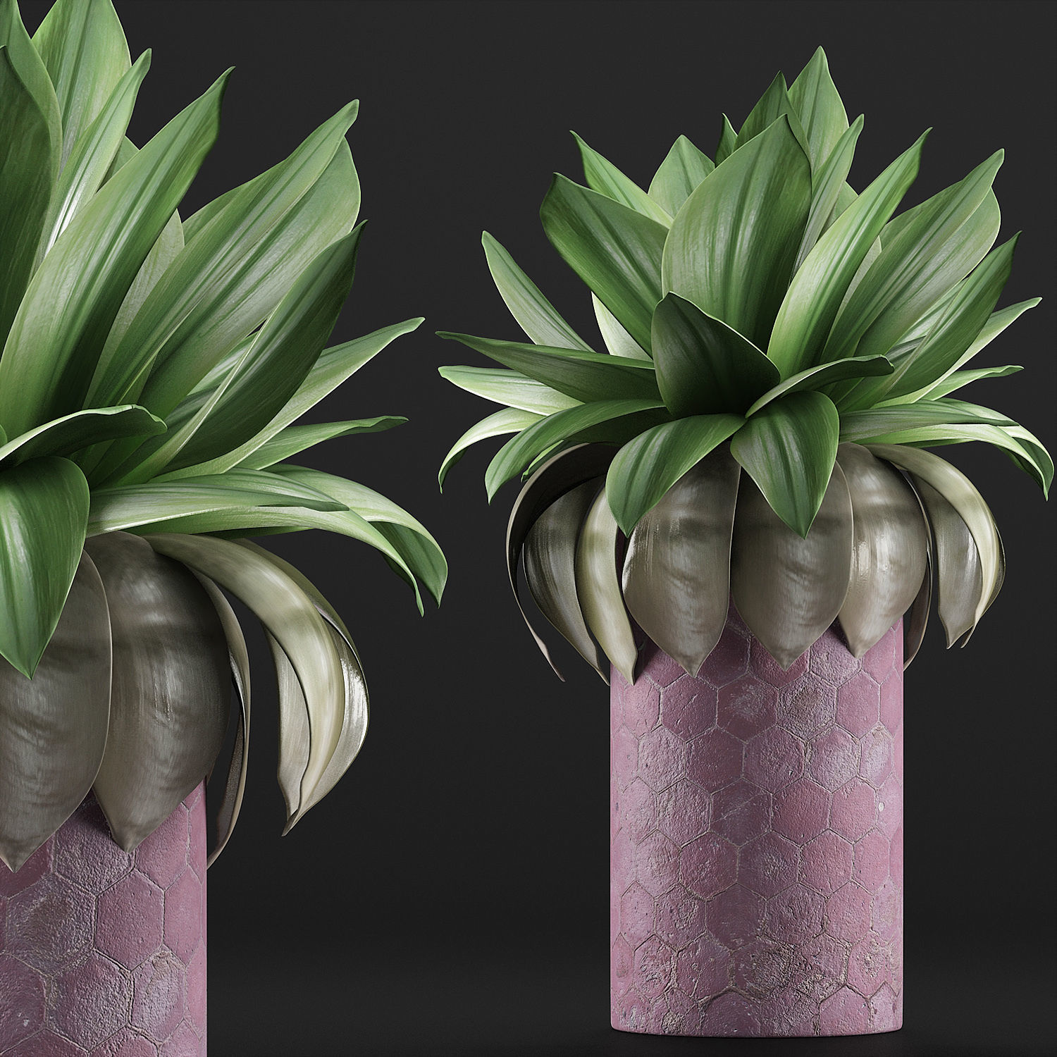 Plants Collection 101 3D model_2