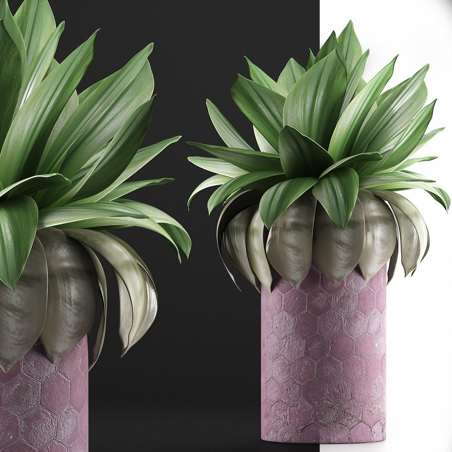 Plants Collection 101 3D model_5