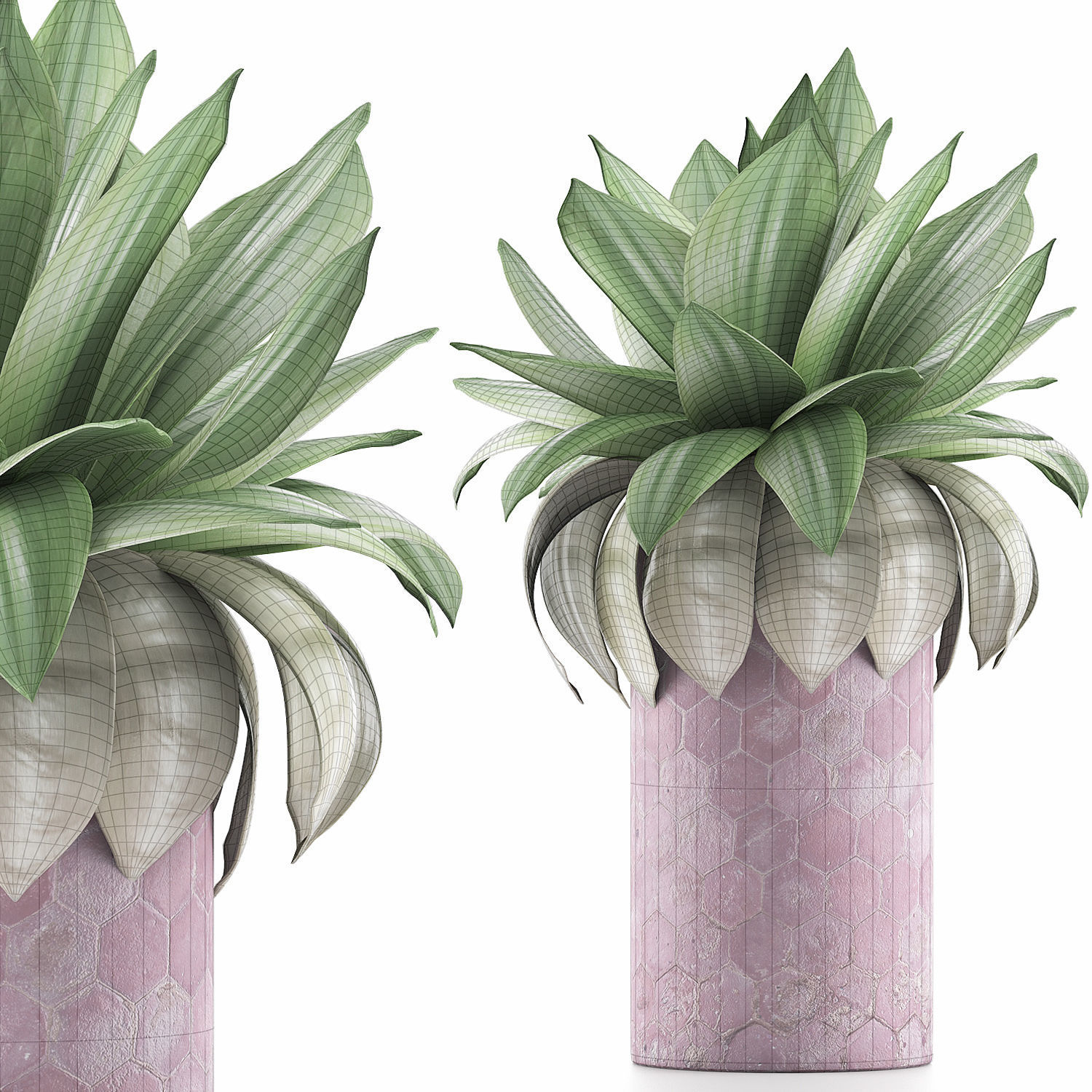 Plants Collection 101 3D model_6