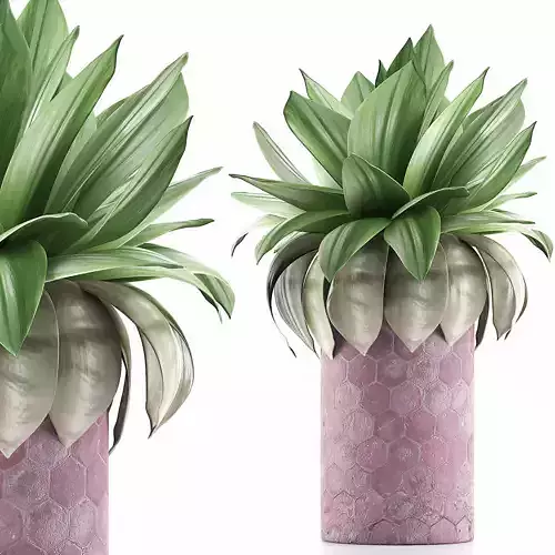 Plants Collection 101 3D model