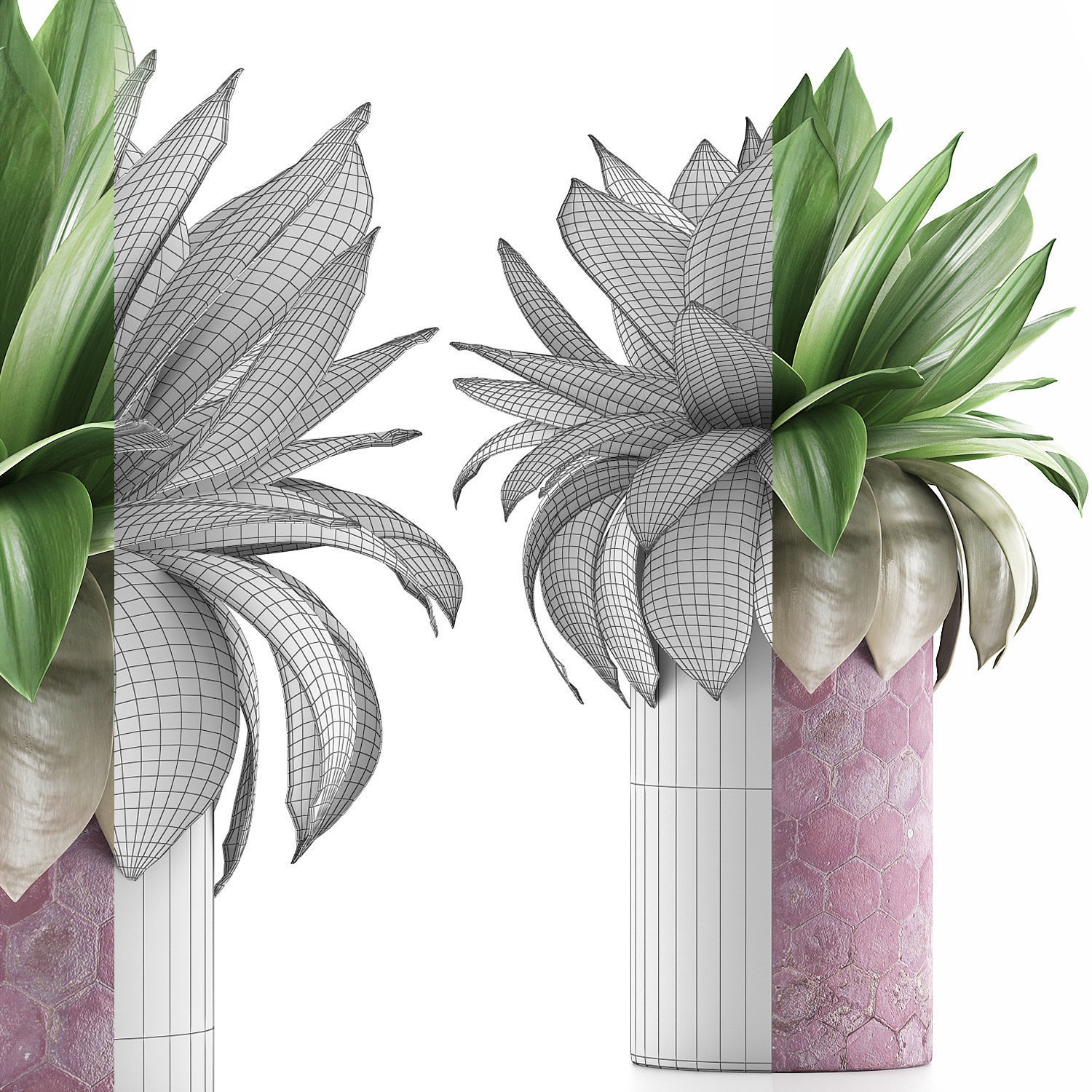 Plants Collection 101 3D model_7