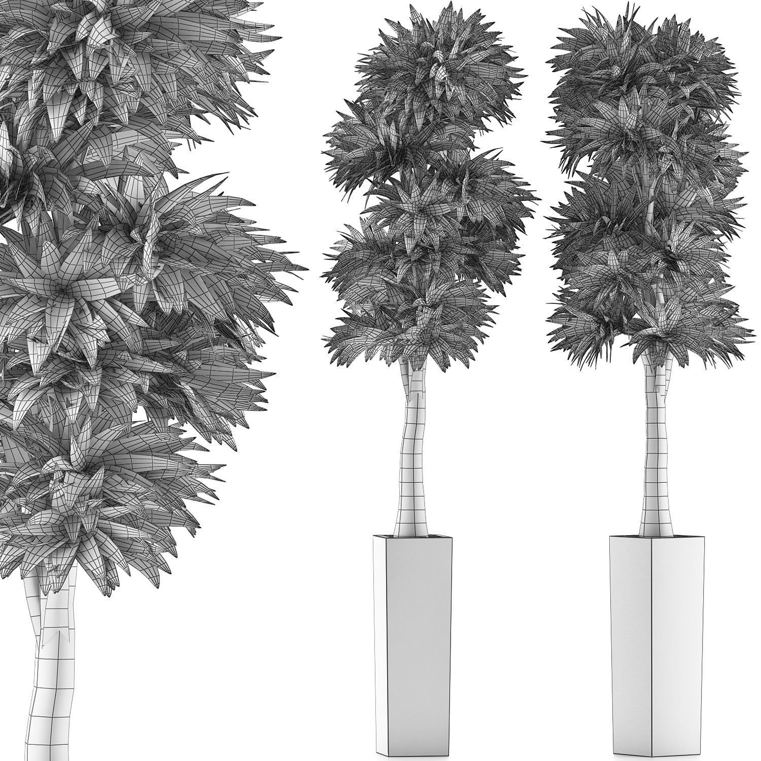 Plants Collection 102 3D model_4