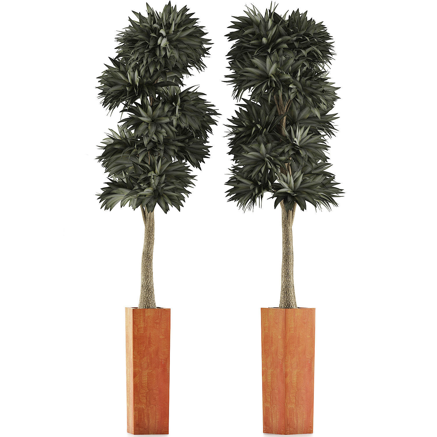 Plants Collection 102 3D model_1