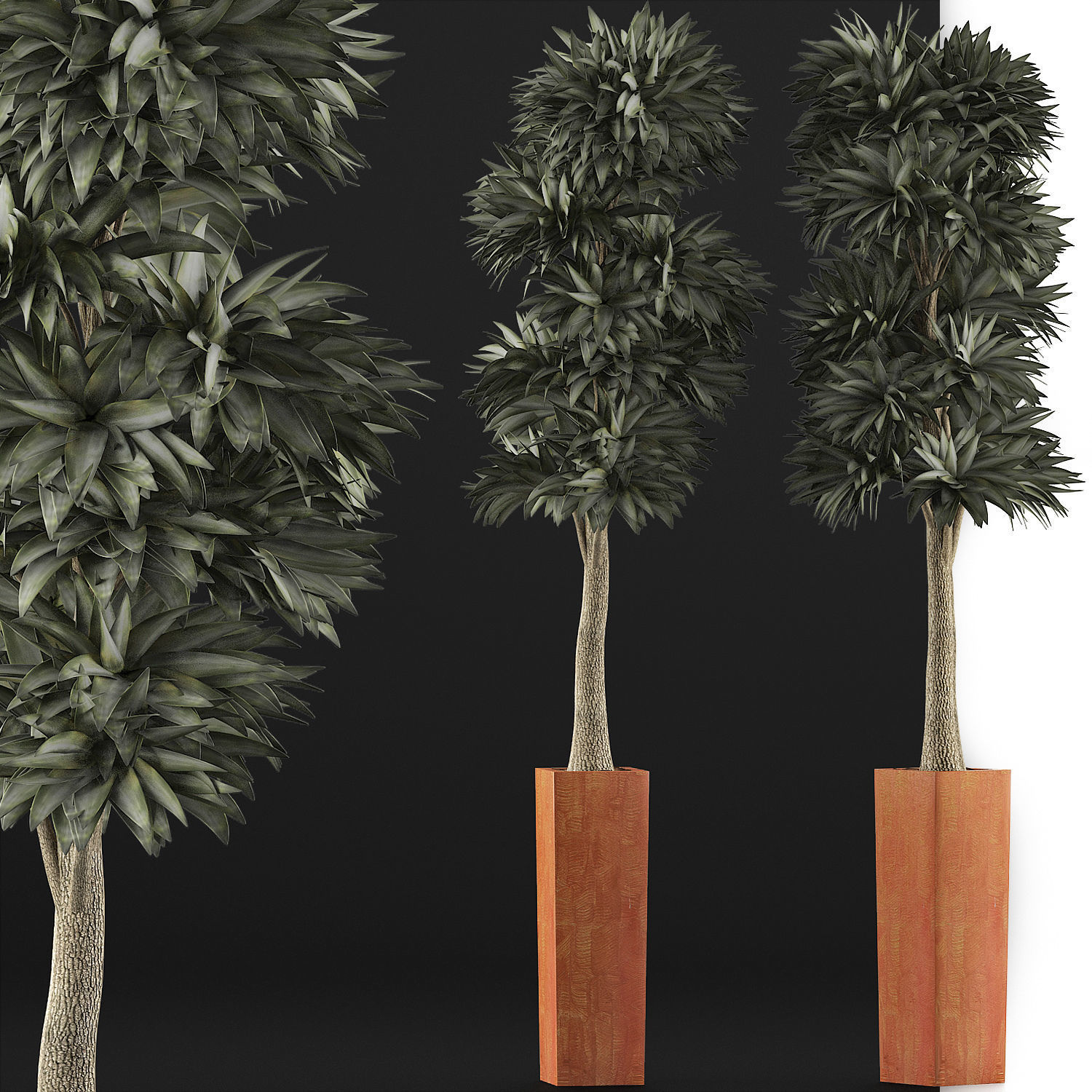 Plants Collection 102 3D model_5