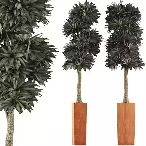 Plants Collection 102 3D model