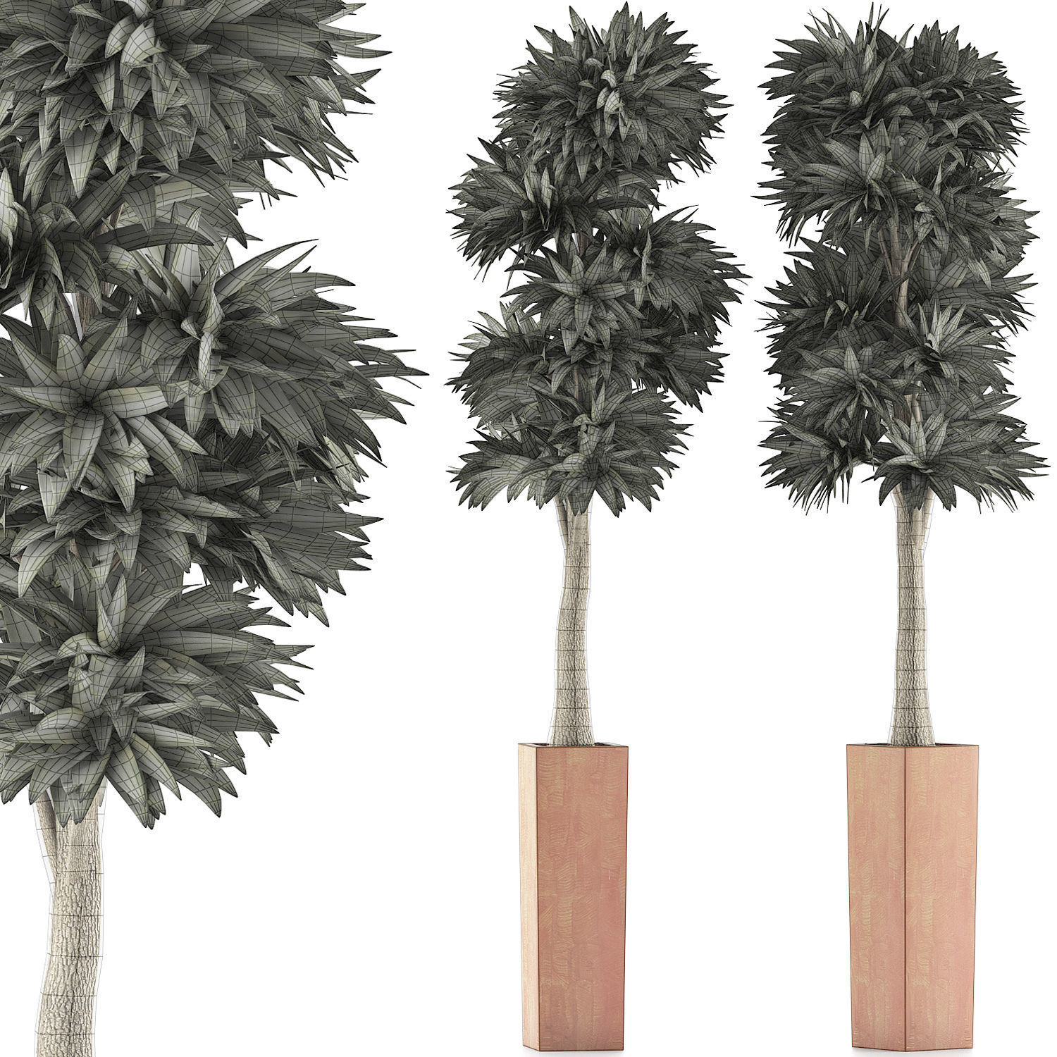 Plants Collection 102 3D model_6